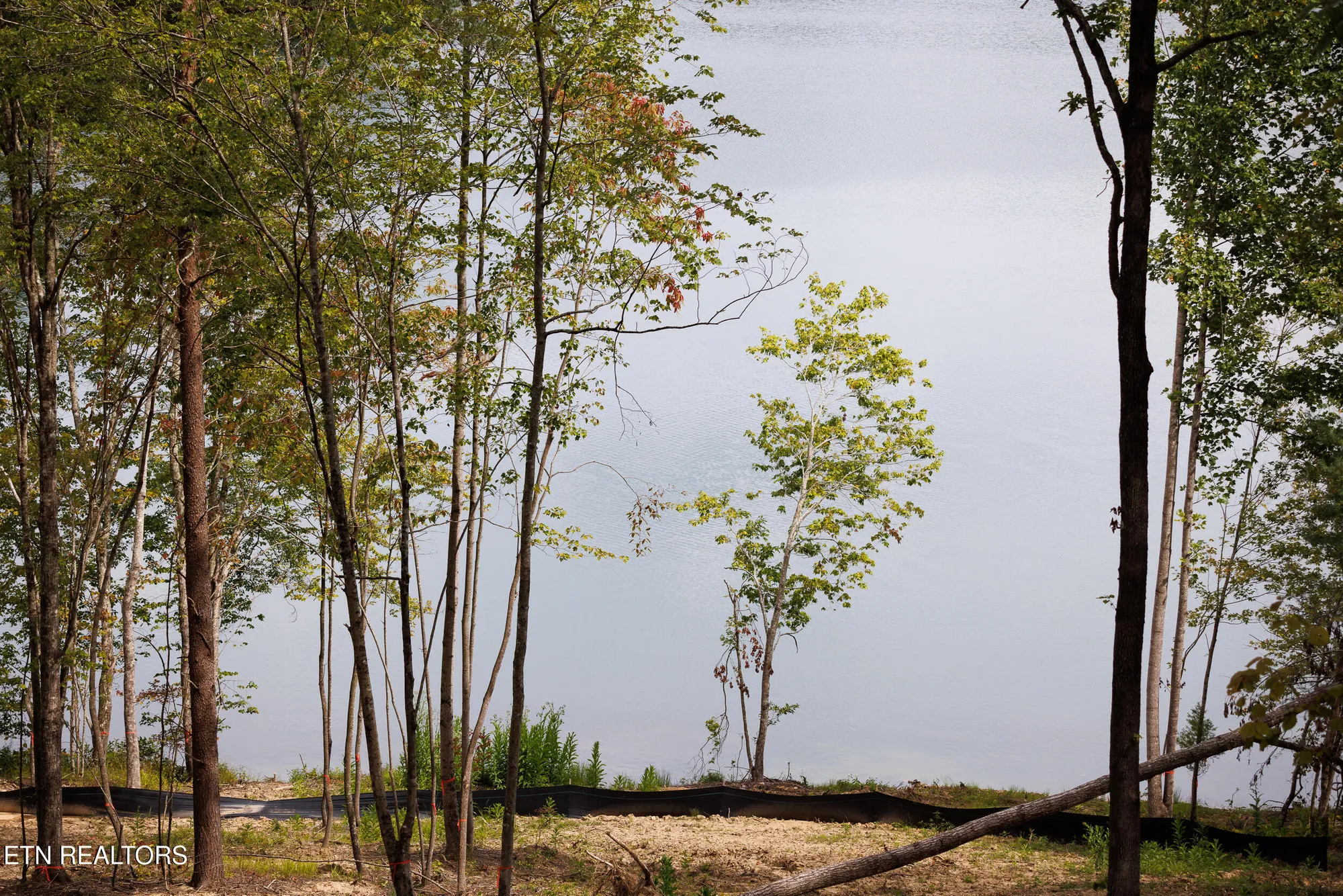 Property Slideshow image 10 of 36 | 28 hunterwood ct, Crossville, TN, 38558