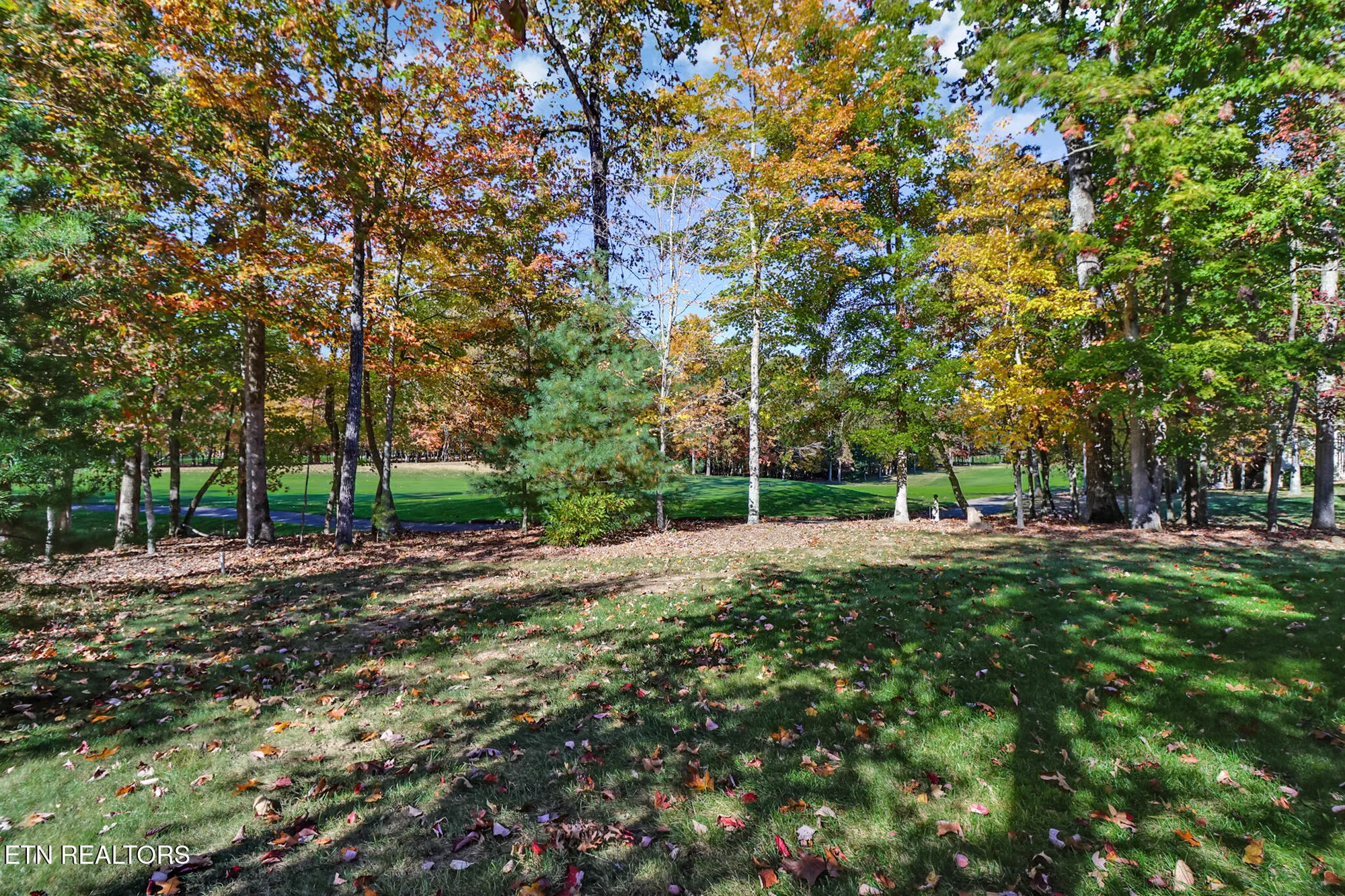 Property Slideshow image 46 of 52 | 275 forest hill dr, Crossville, TN, 38558