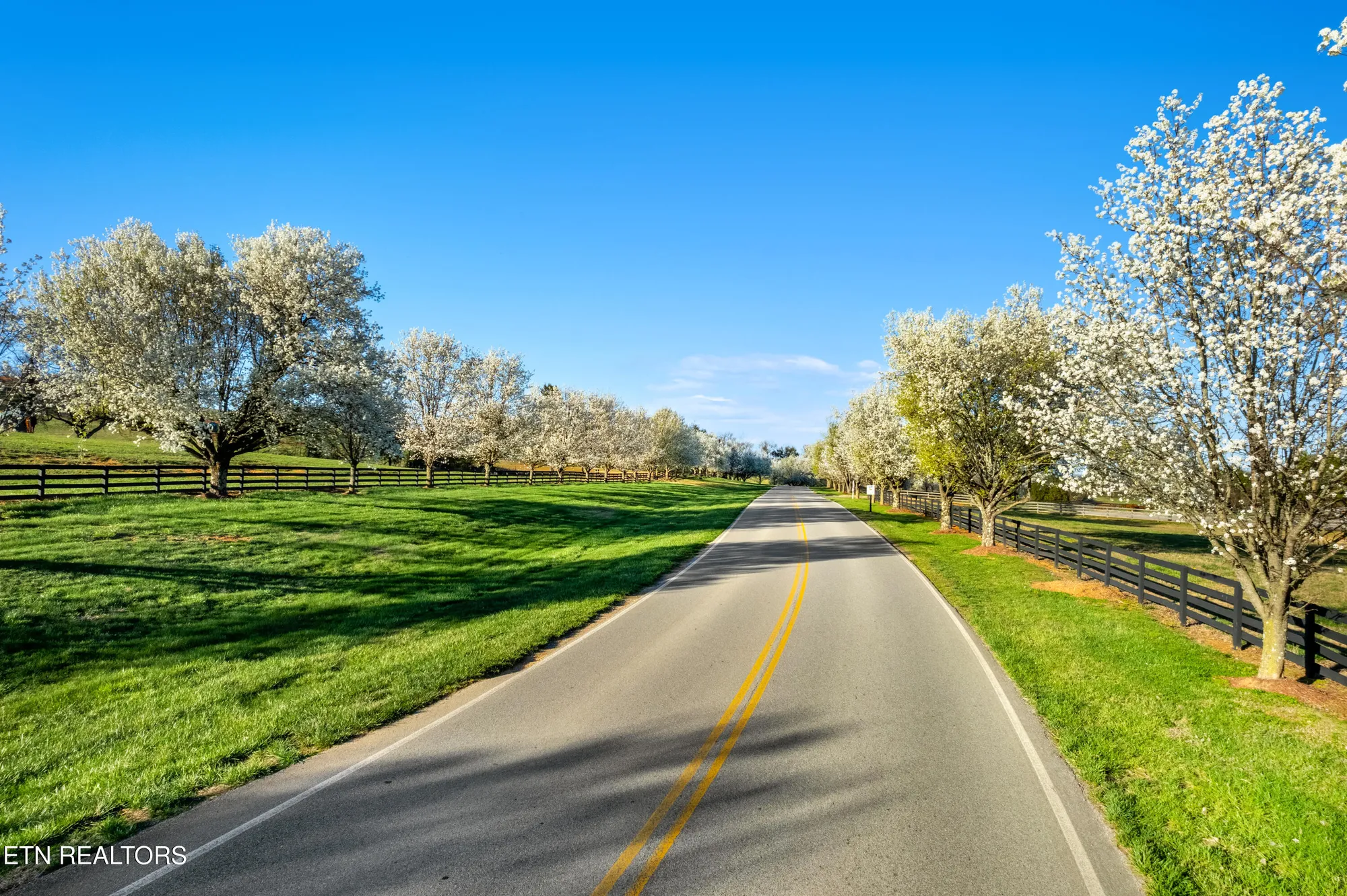 Property Slideshow image 54 of 60 | 310 pineberry dr, Vonore, TN, 37885