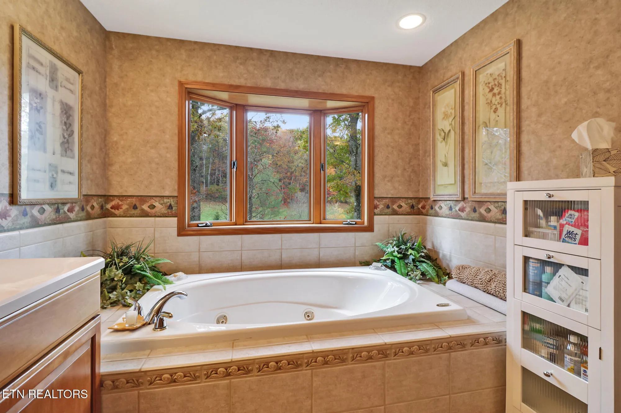 Property Slideshow image 16 of 53 | 17 forest hill ct, Crossville, TN, 38558