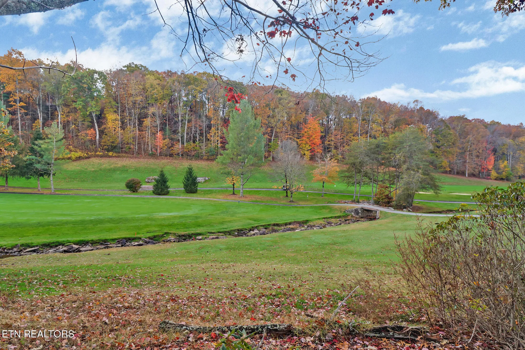 Property Slideshow image 46 of 53 | 17 forest hill ct, Crossville, TN, 38558