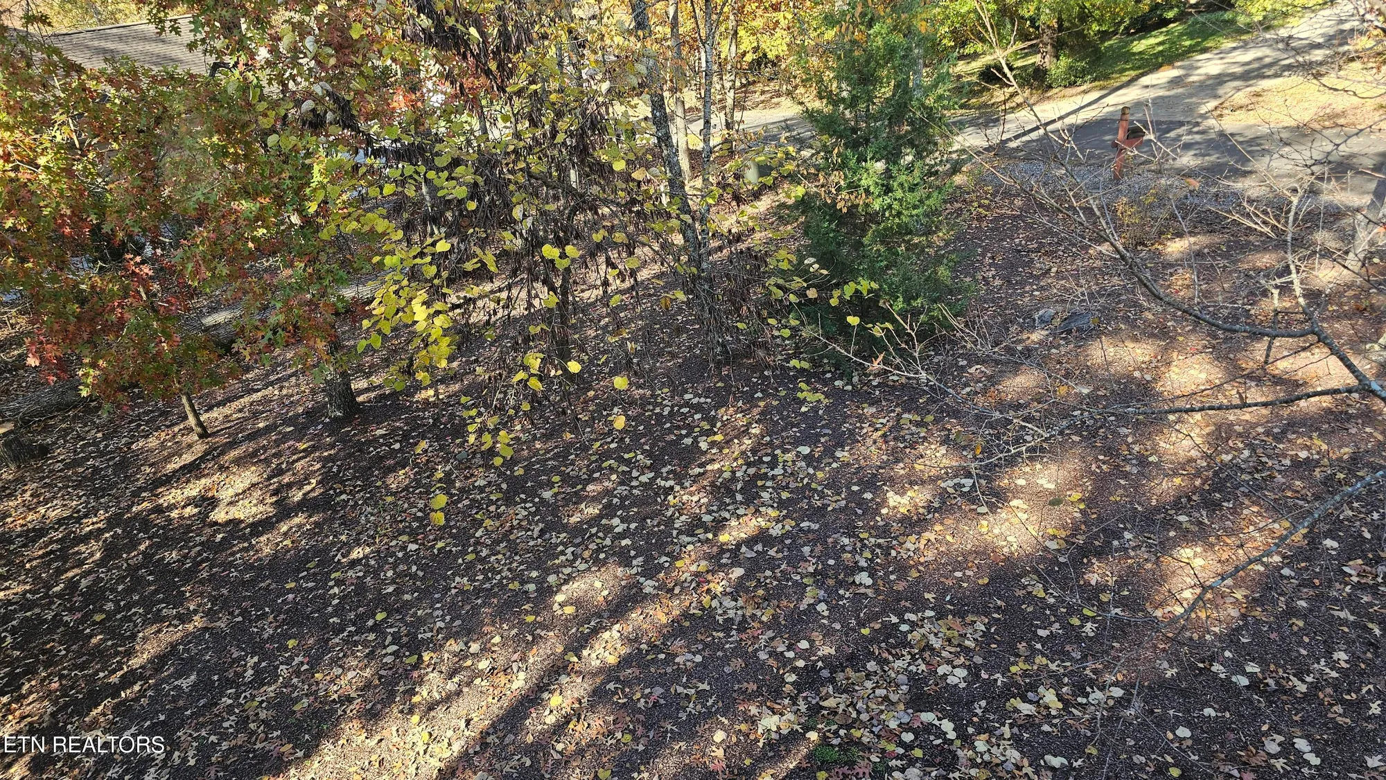 Property Slideshow image 41 of 43 | 302 oostanali cir, Loudon, TN, 37774