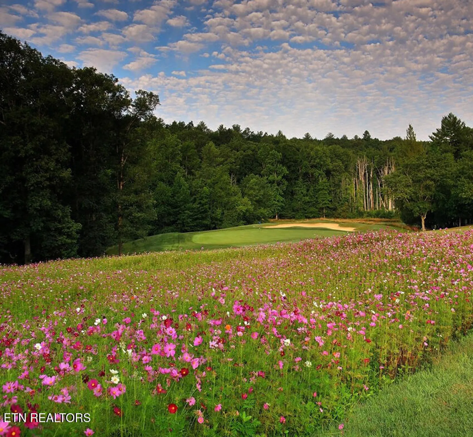 Property Slideshow image 33 of 61 | 16 bingham way, Crossville, TN, 38558