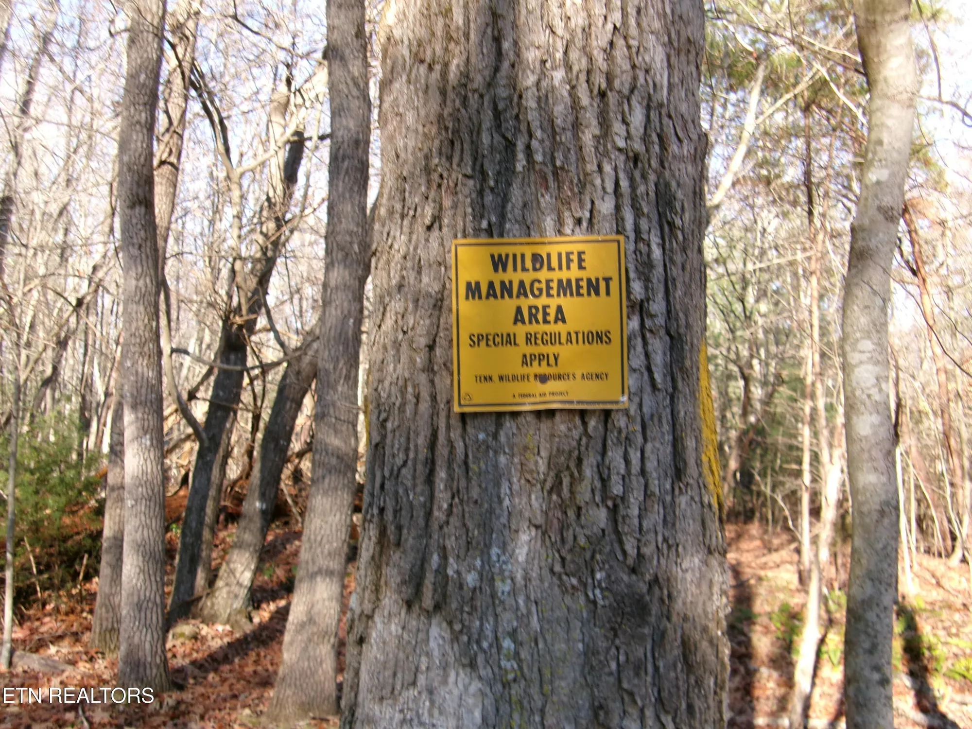 Property Slideshow image 42 of 42 | 14 brooks ln, Crossville, TN, 38558