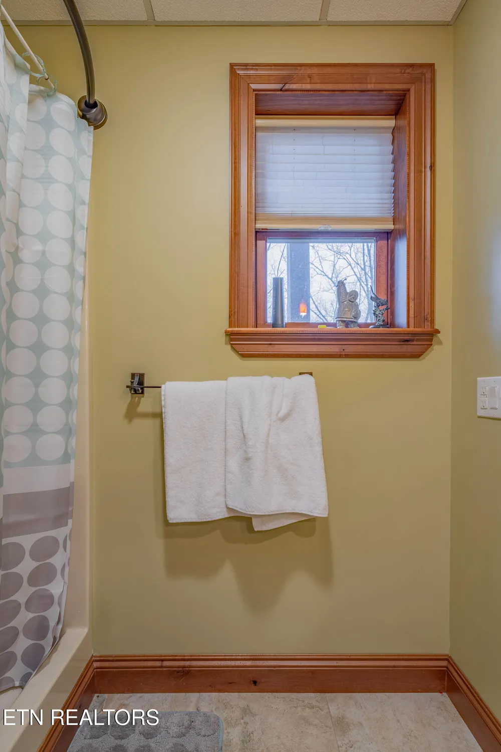 Property Slideshow image 13 of 54 | 166 canterbury dr, Crossville, TN, 38558