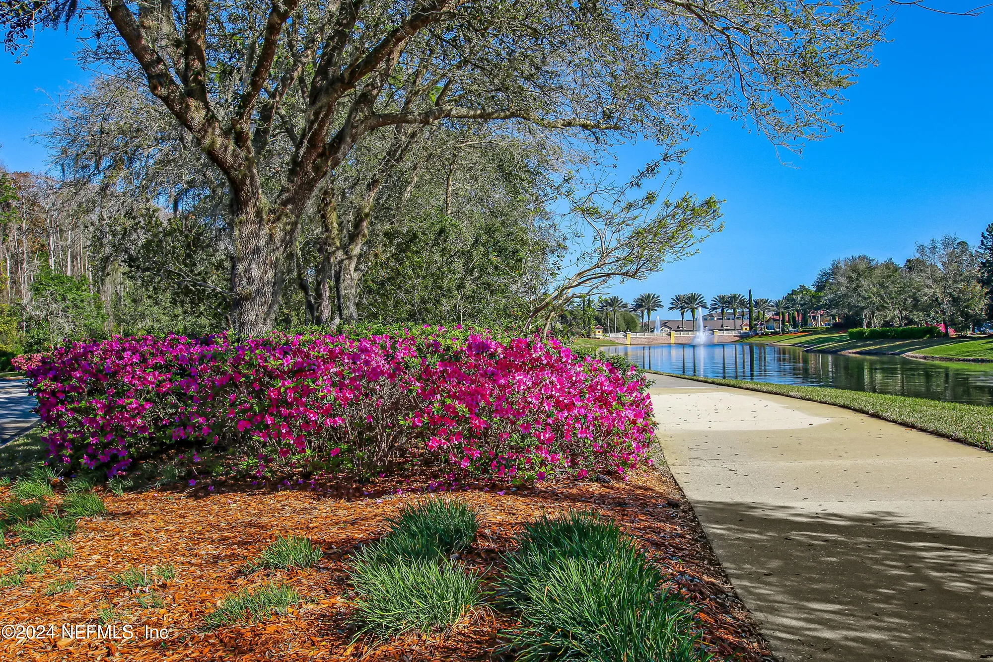 Property Slideshow image 91 of 93 | 8757 little swift cir 22f, Jacksonville, FL, 32256