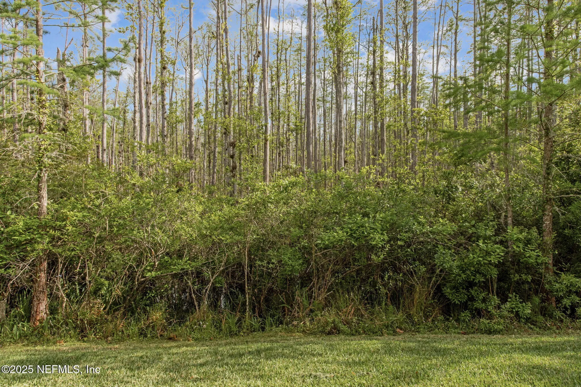 Property Slideshow image 41 of 62 | 9831 del webb pkwy 3107, Jacksonville, FL, 32256