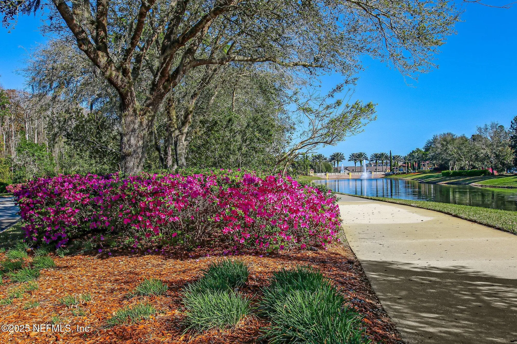 Property Slideshow image 50 of 62 | 9831 del webb pkwy 3107, Jacksonville, FL, 32256