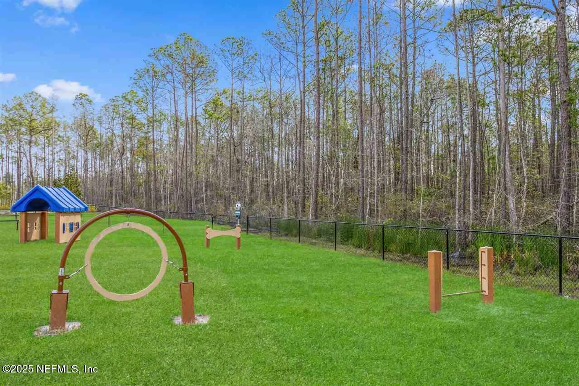 Property Slideshow image 42 of 47 | 328 falcon quest ln, St Augustine, FL, 32095