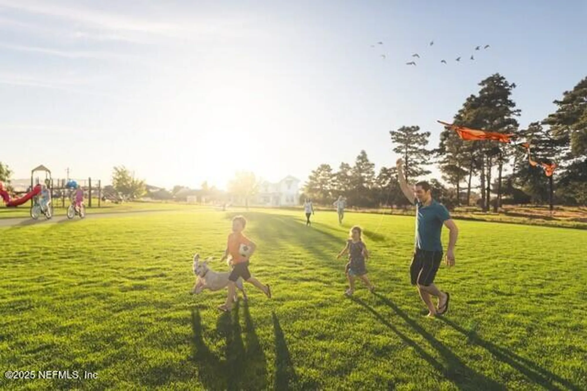 Property Slideshow image 26 of 29 | 51 skyward dr, St Johns, FL, 32259