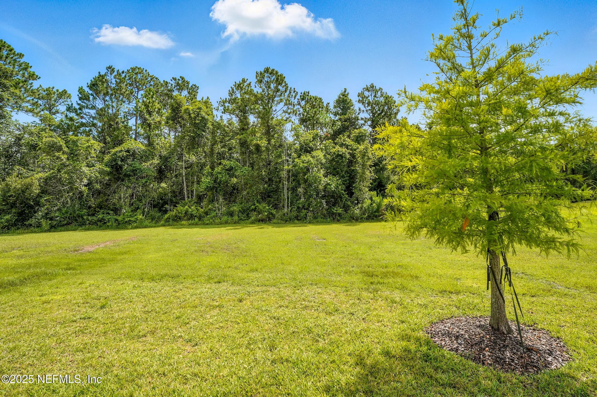 Property Slideshow image 27 of 49 | 1578 stillwater blvd, St Johns, FL, 32259