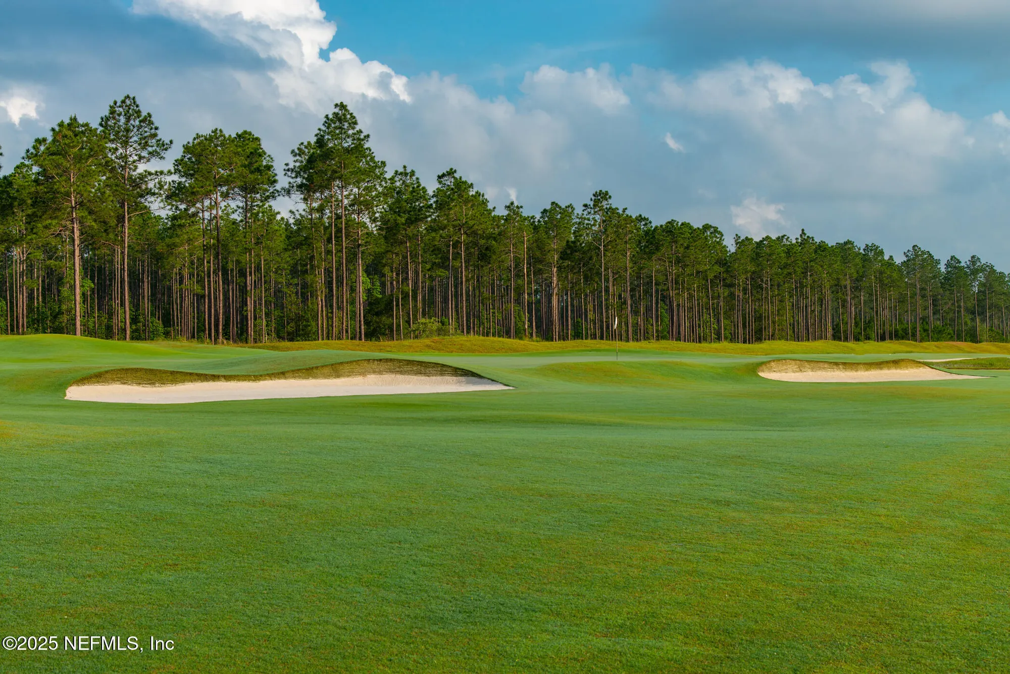 Property Slideshow image 19 of 40 | 246 dogleg run, St Johns, FL, 32259