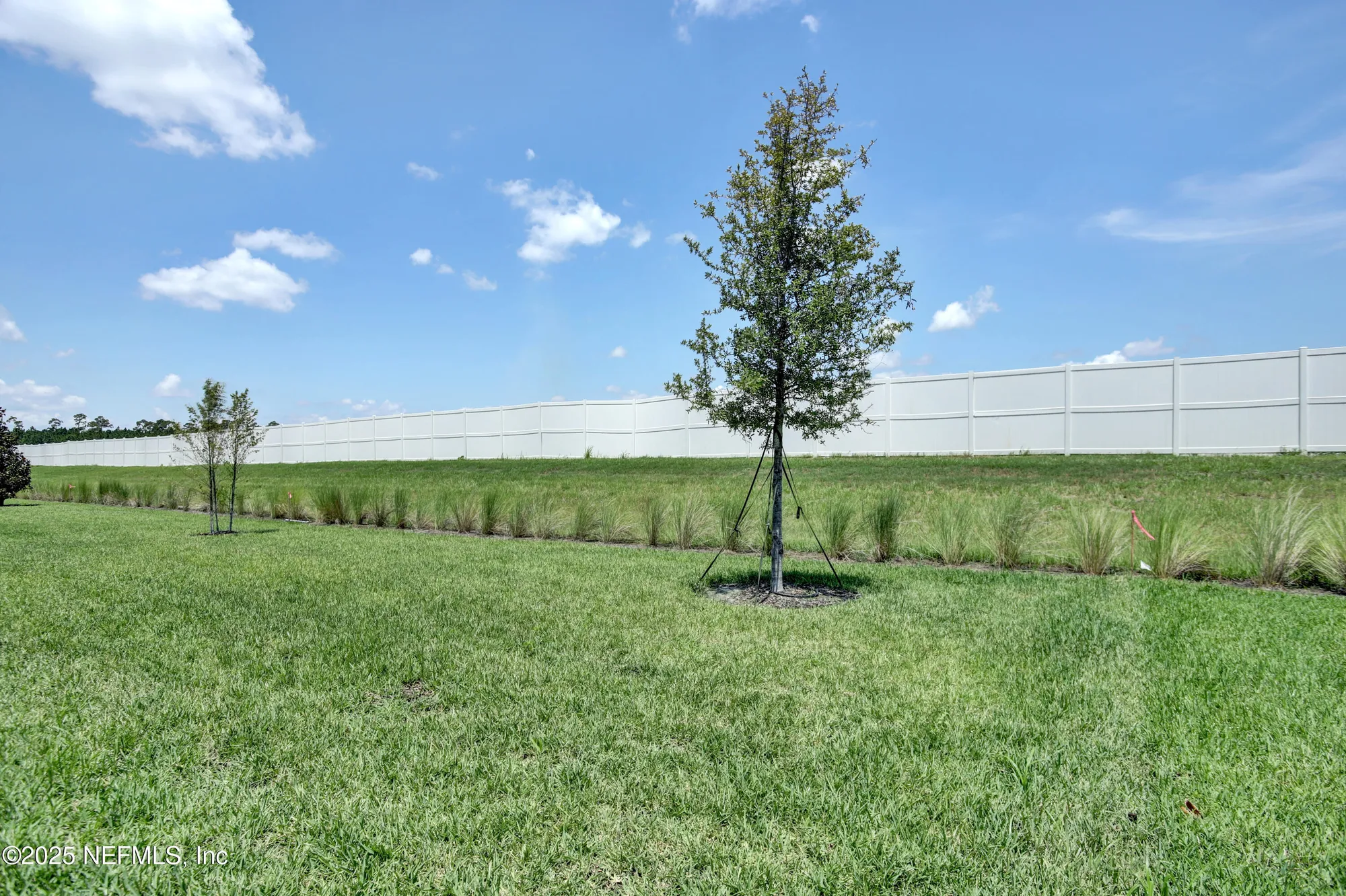 Property Slideshow image 4 of 23 | 97 swaying tree ave, St Augustine, FL, 32092