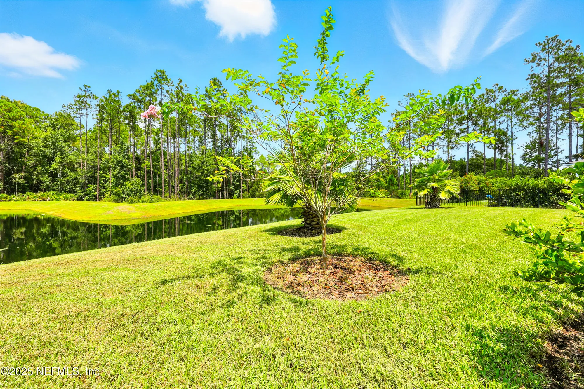 Property Slideshow image 43 of 59 | 130 key grass ct, St Johns, FL, 32259
