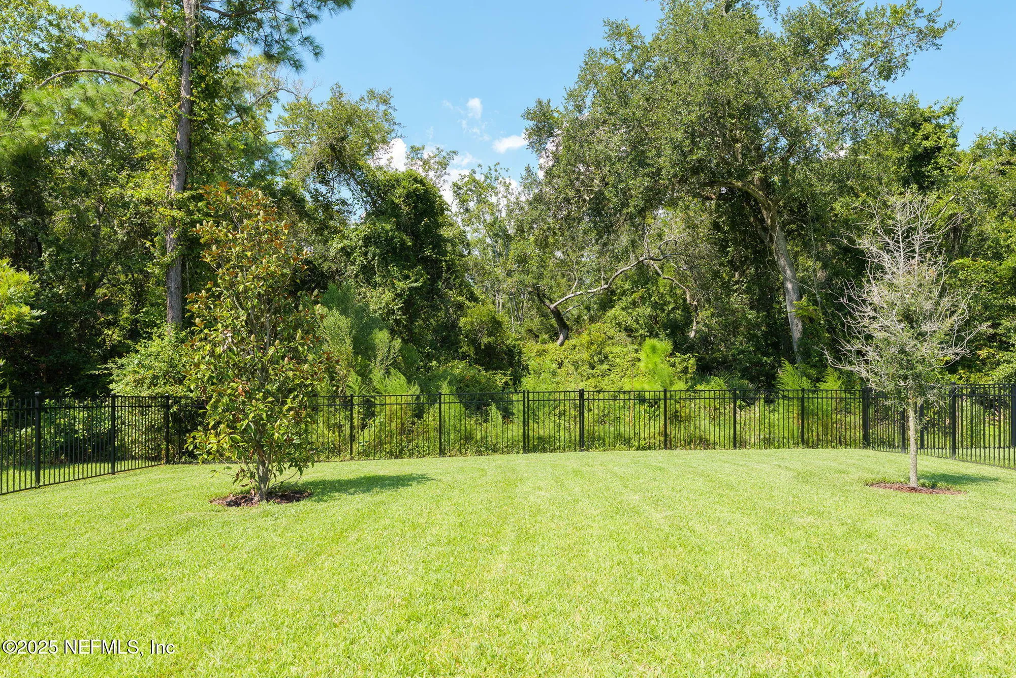 Property Slideshow image 43 of 74 | 356 timber light trl, Ponte Vedra, FL, 32081