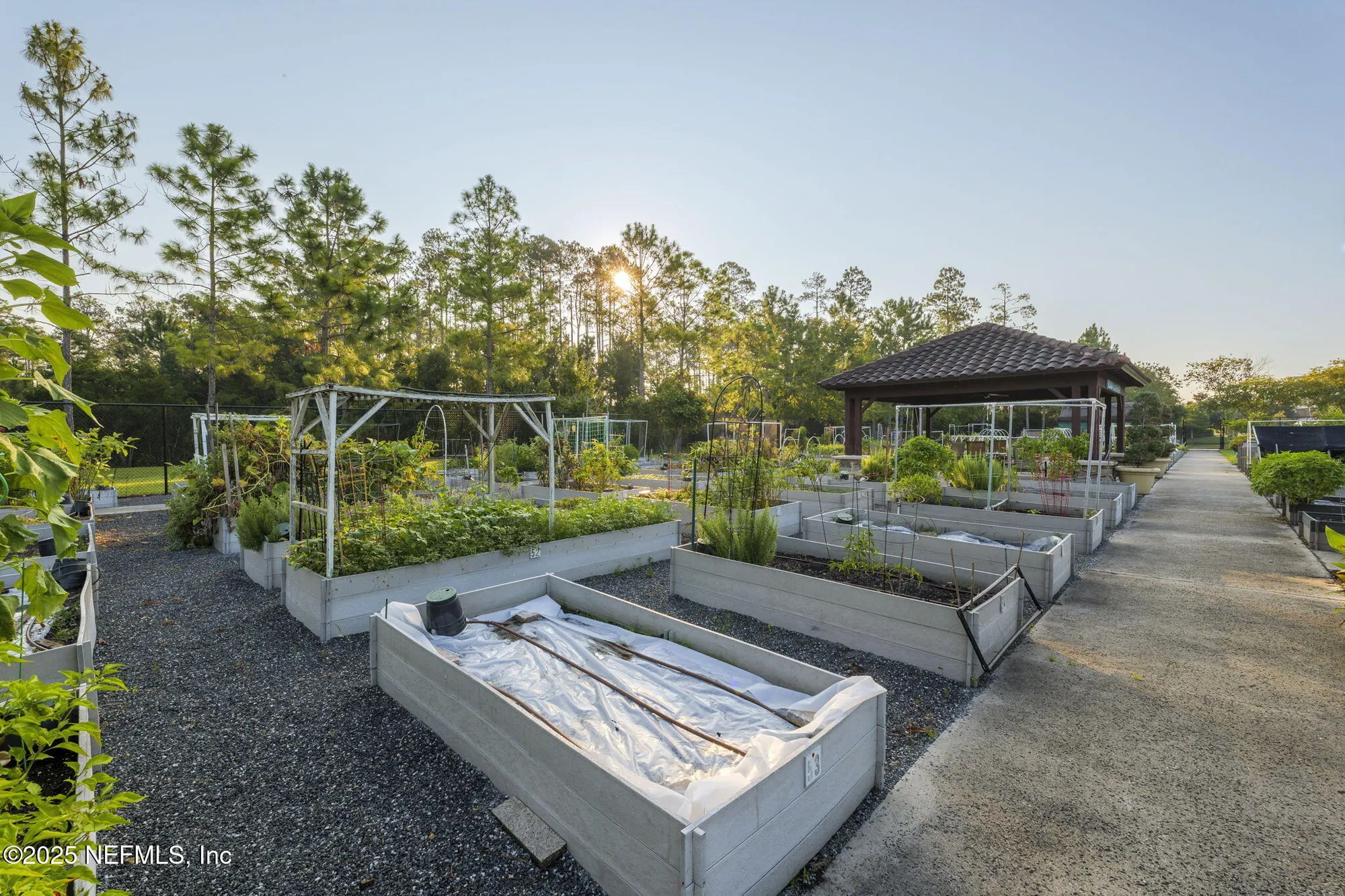 Property Slideshow image 36 of 52 | 20 goldenrod park rd, Ponte Vedra, FL, 32081