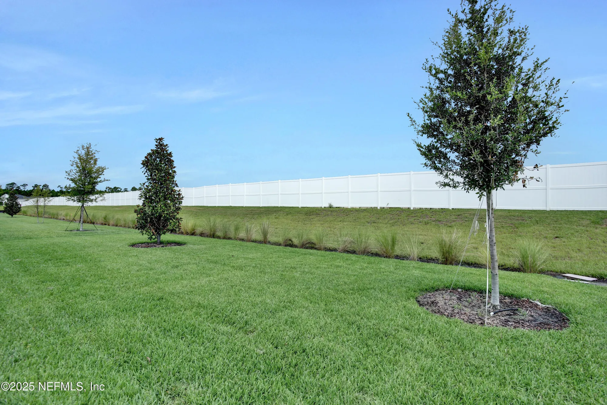 Property Slideshow image 7 of 20 | 555 knotted birch ave, St Augustine, FL, 32092