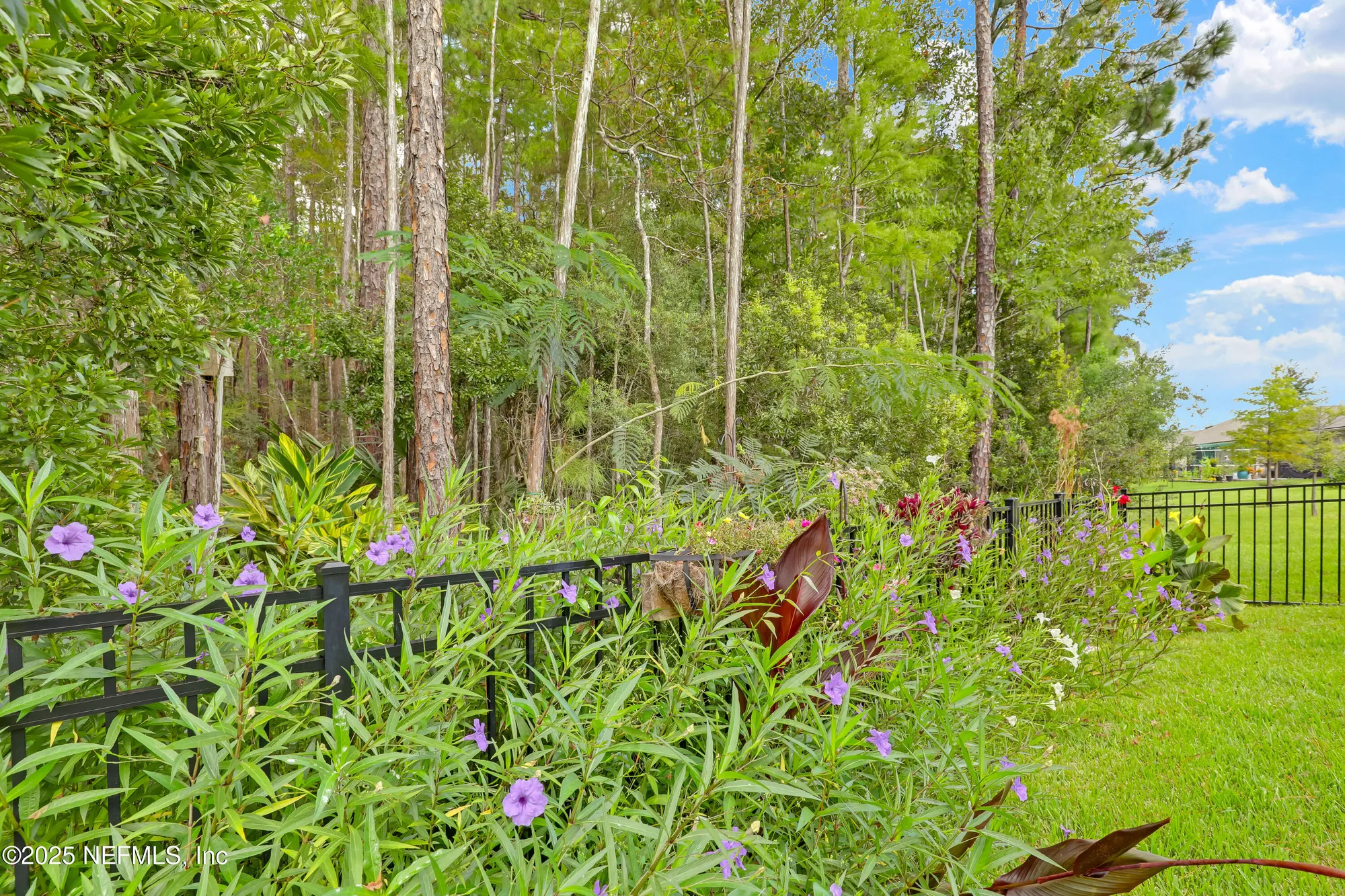 Property Slideshow image 50 of 60 | 341 spoonbill cir, St Augustine, FL, 32095