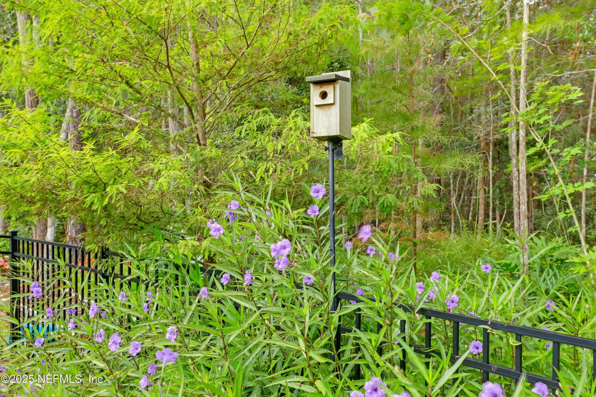 Property Slideshow image 51 of 60 | 341 spoonbill cir, St Augustine, FL, 32095