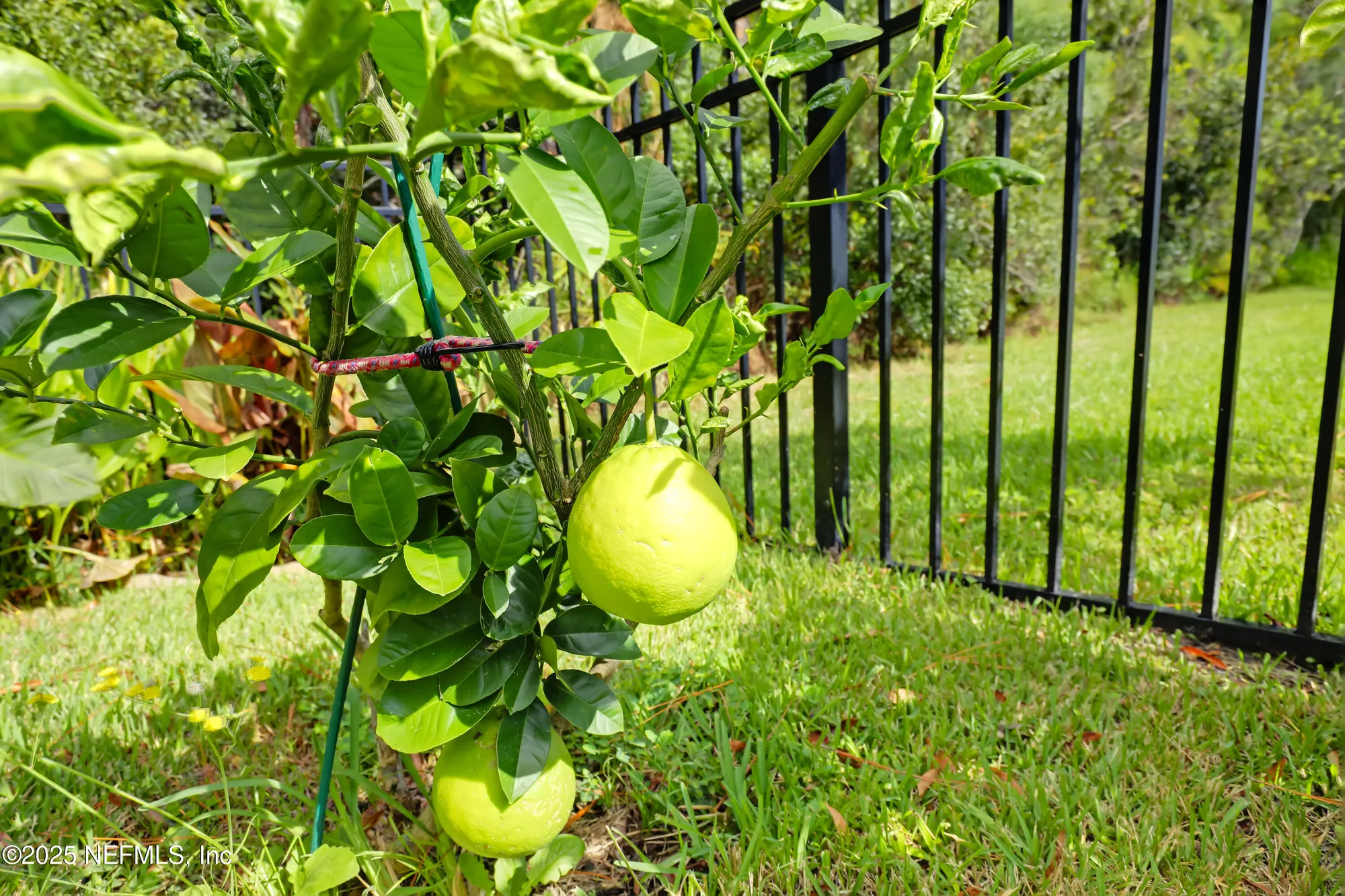 Property Slideshow image 52 of 60 | 341 spoonbill cir, St Augustine, FL, 32095