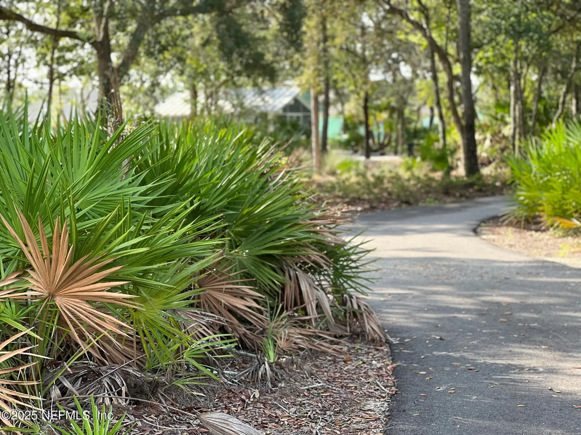 Property Slideshow image 35 of 66 | 505 juniper hills dr, St Johns, FL, 32259