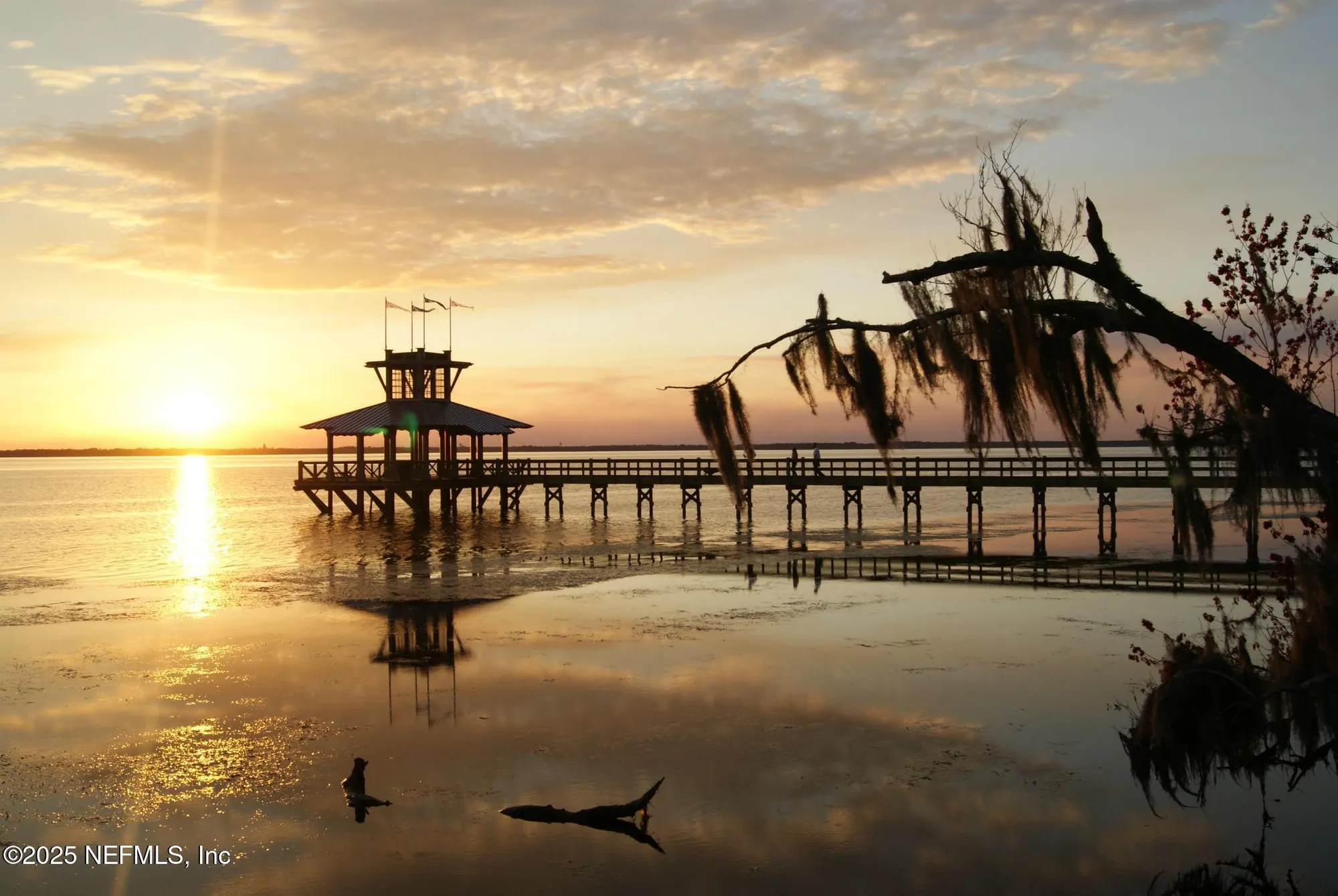 Property Slideshow image 58 of 66 | 505 juniper hills dr, St Johns, FL, 32259
