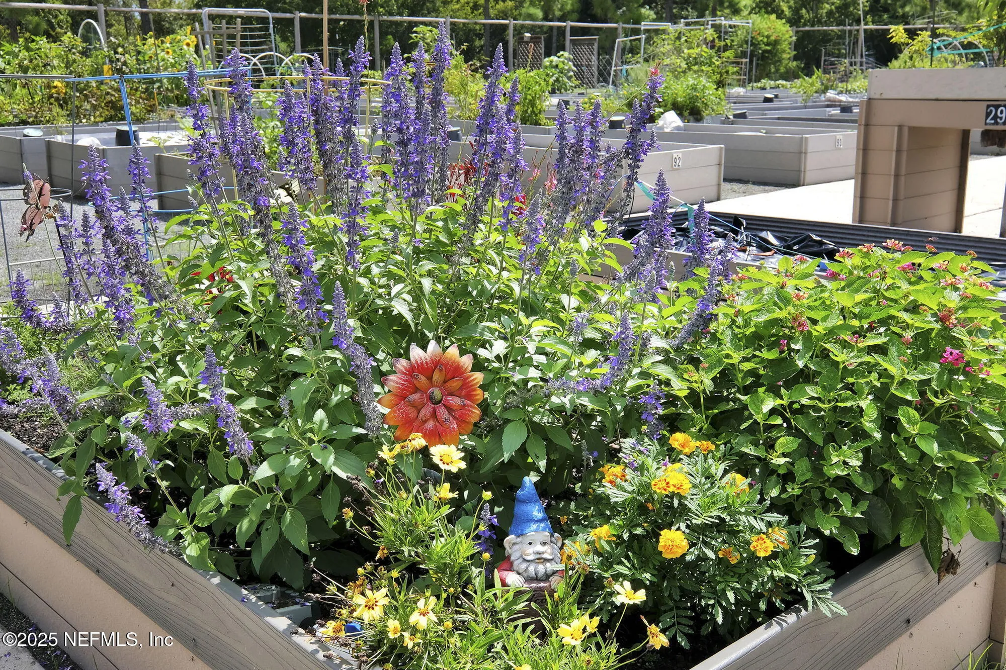 Property Slideshow image 77 of 109 | 780 wandering woods way, Ponte Vedra, FL, 32081