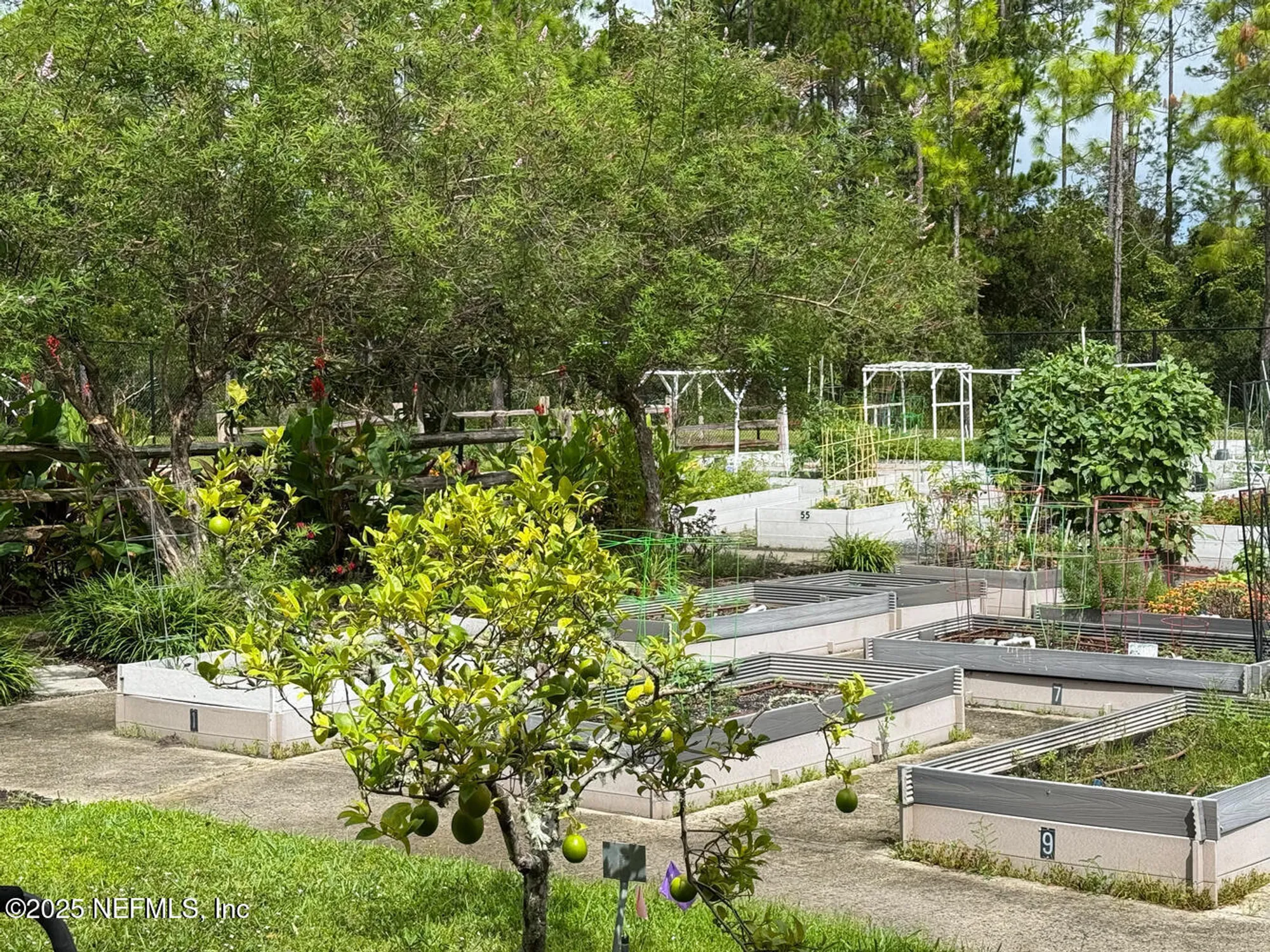 Property Slideshow image 55 of 78 | 31 wild branch ct, Ponte Vedra, FL, 32081