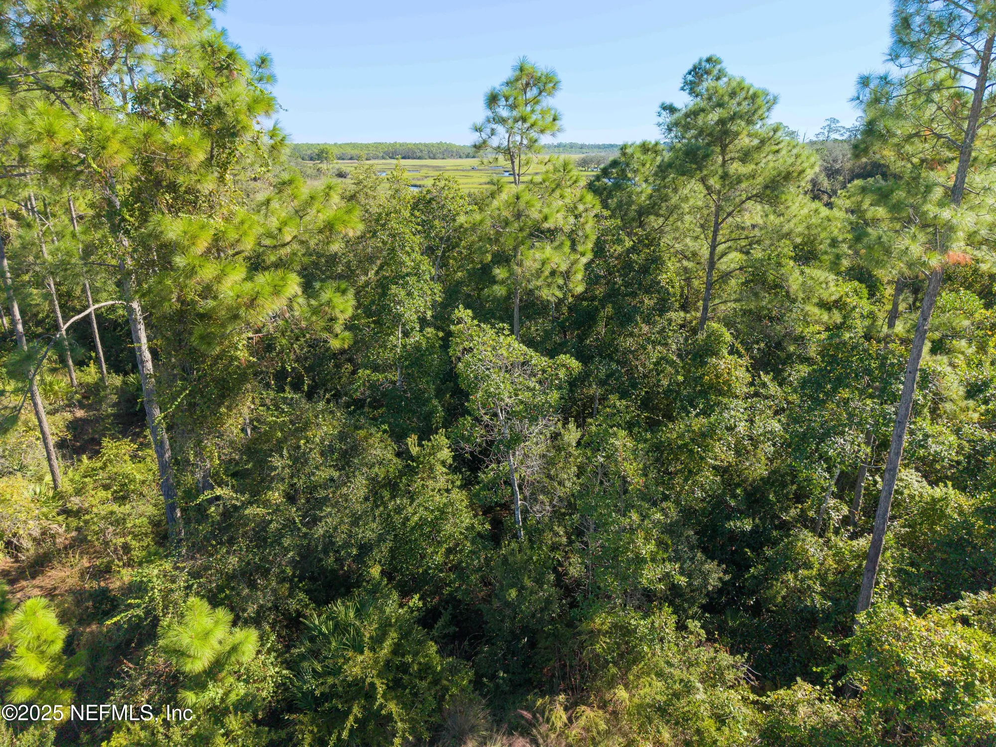 Property Slideshow image 25 of 33 | 171 oyster shell ter, Ponte Vedra, FL, 32081
