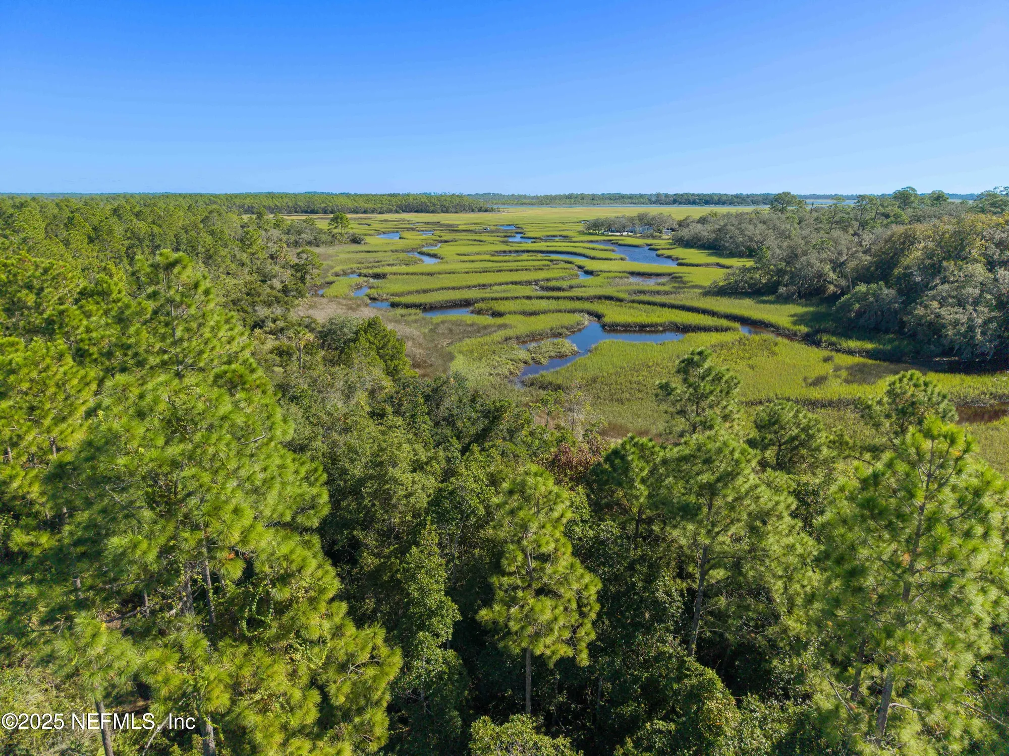Property Slideshow image 26 of 33 | 171 oyster shell ter, Ponte Vedra, FL, 32081