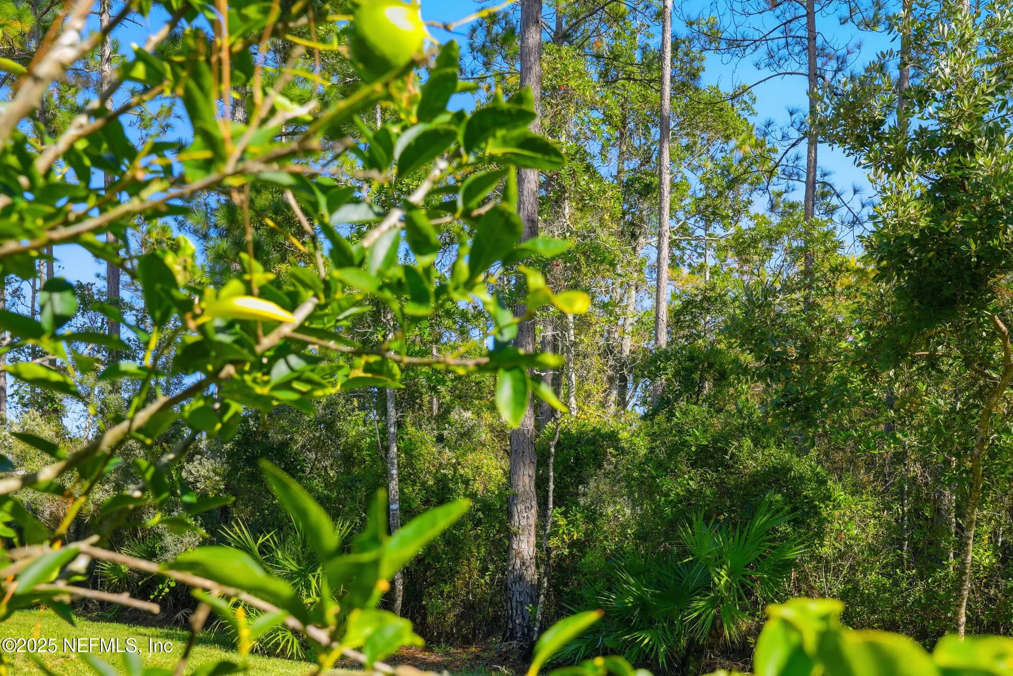 Property Slideshow image 46 of 63 | 86 wheelwright ln, Ponte Vedra, FL, 32081