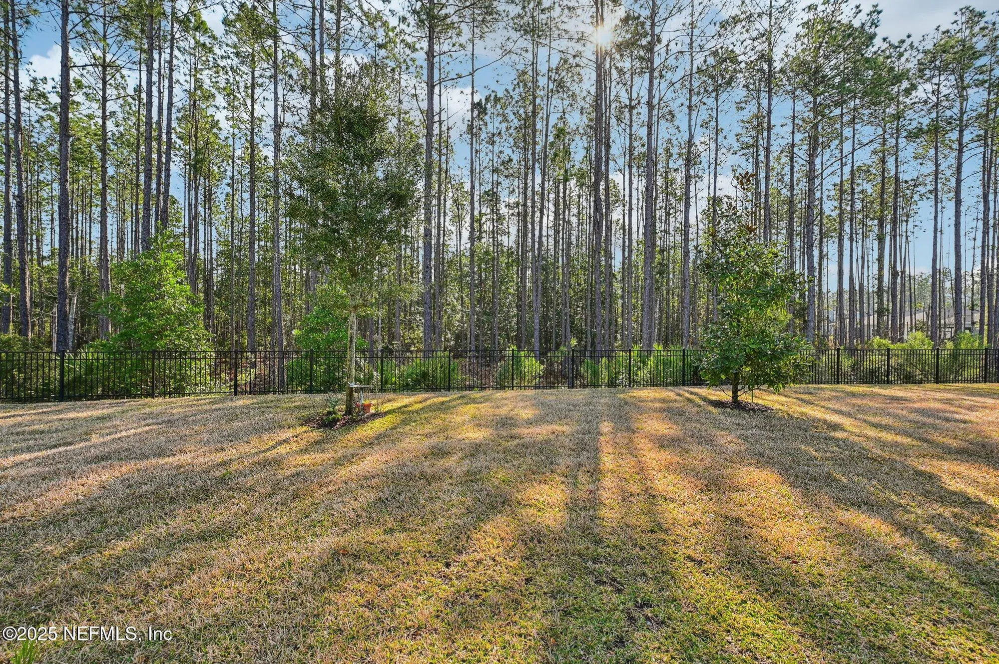 Property Slideshow image 42 of 79 | 70 greenie bnd, St Johns, FL, 32259
