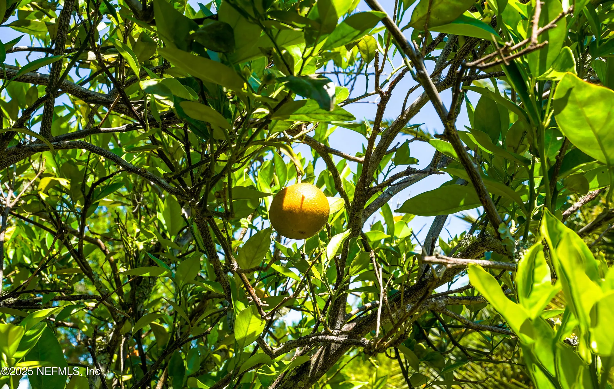 Property Slideshow image 27 of 53 | 39 cypress bay dr, Ponte Vedra, FL, 32081