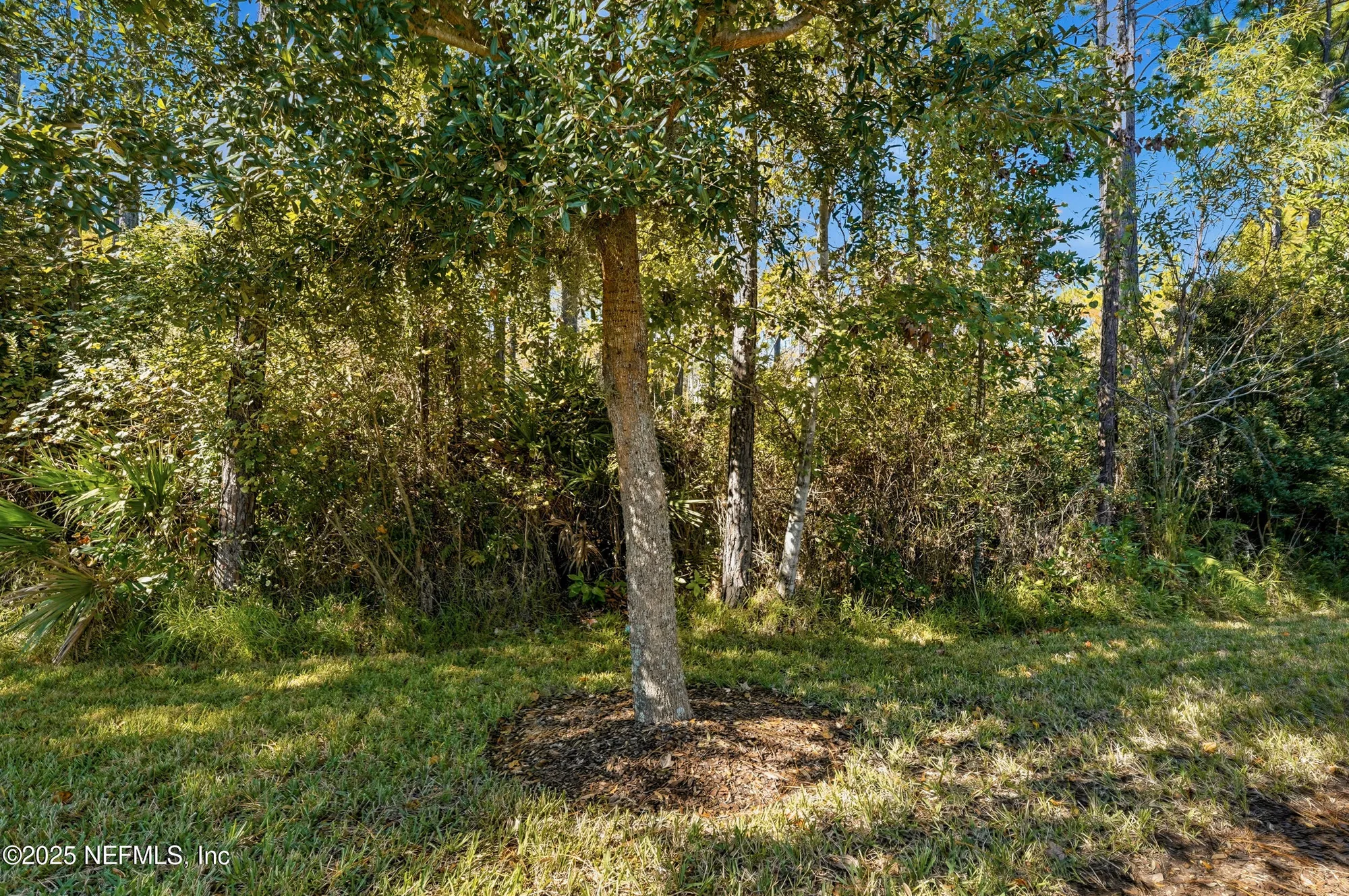 Property Slideshow image 27 of 59 | 53 broadhaven dr, Ponte Vedra, FL, 32081