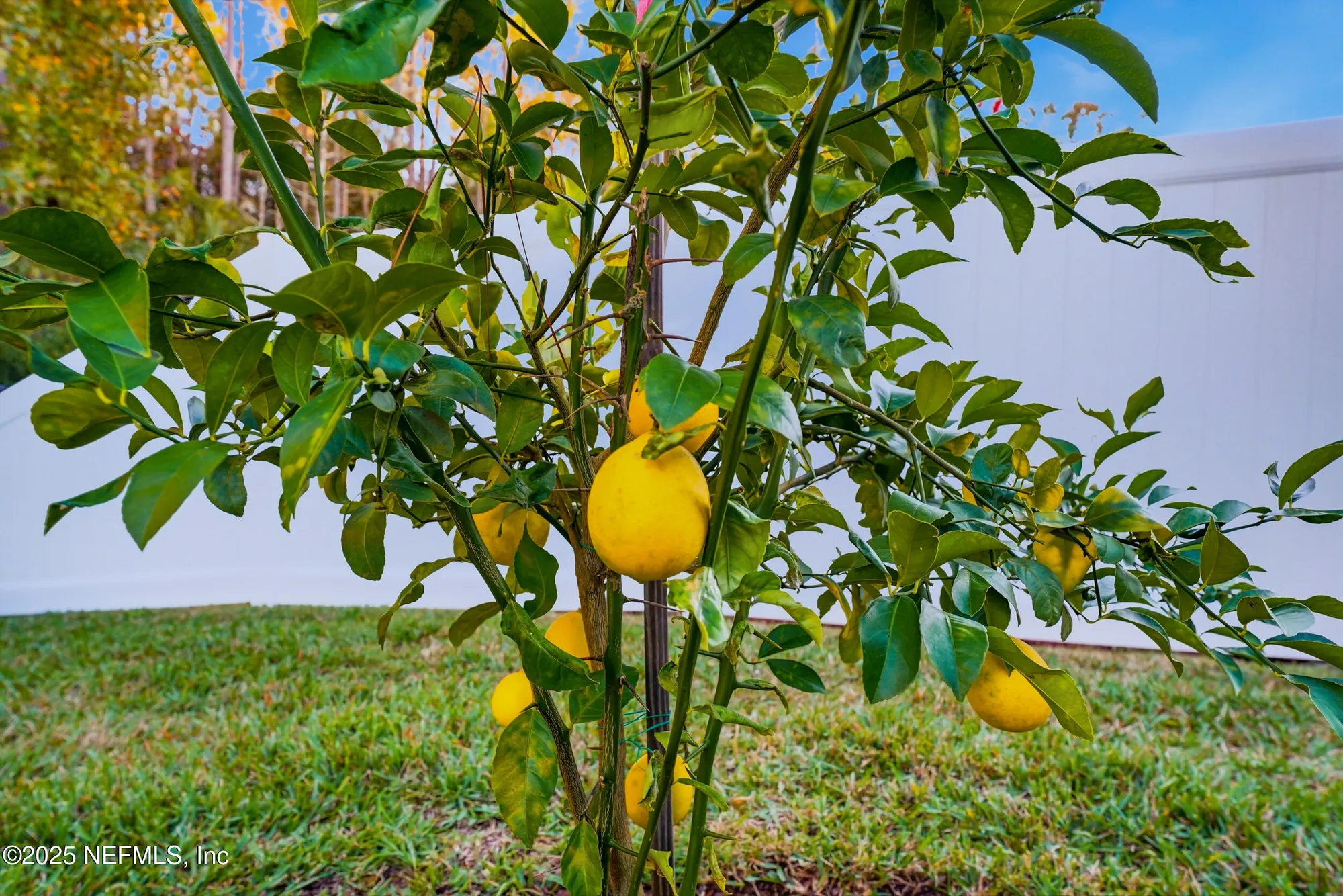 Property Slideshow image 33 of 43 | 136 eagles landing ln, St Augustine, FL, 32095