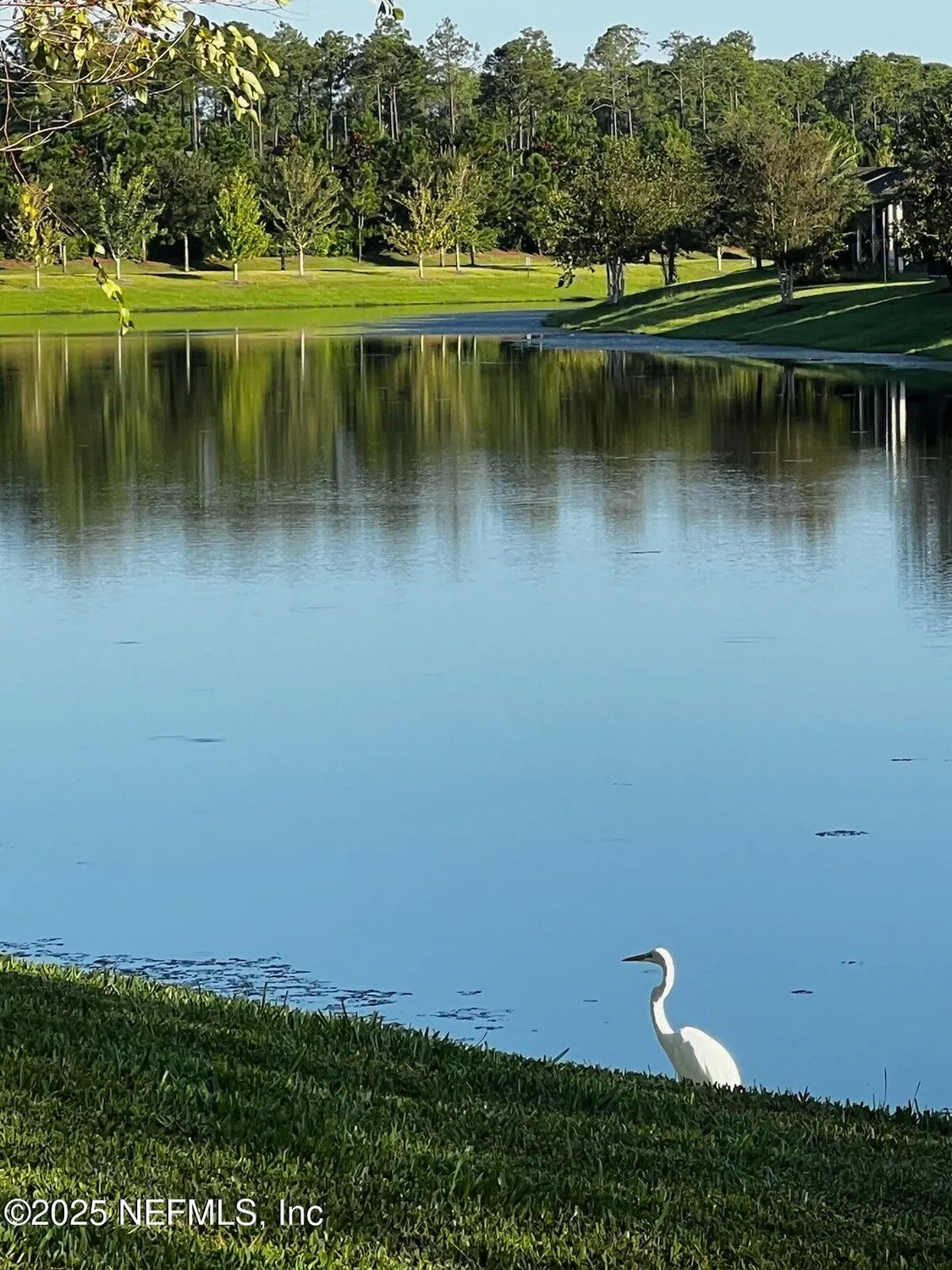 Property Slideshow image 33 of 75 | 263 forest spring dr, Ponte Vedra, FL, 32081