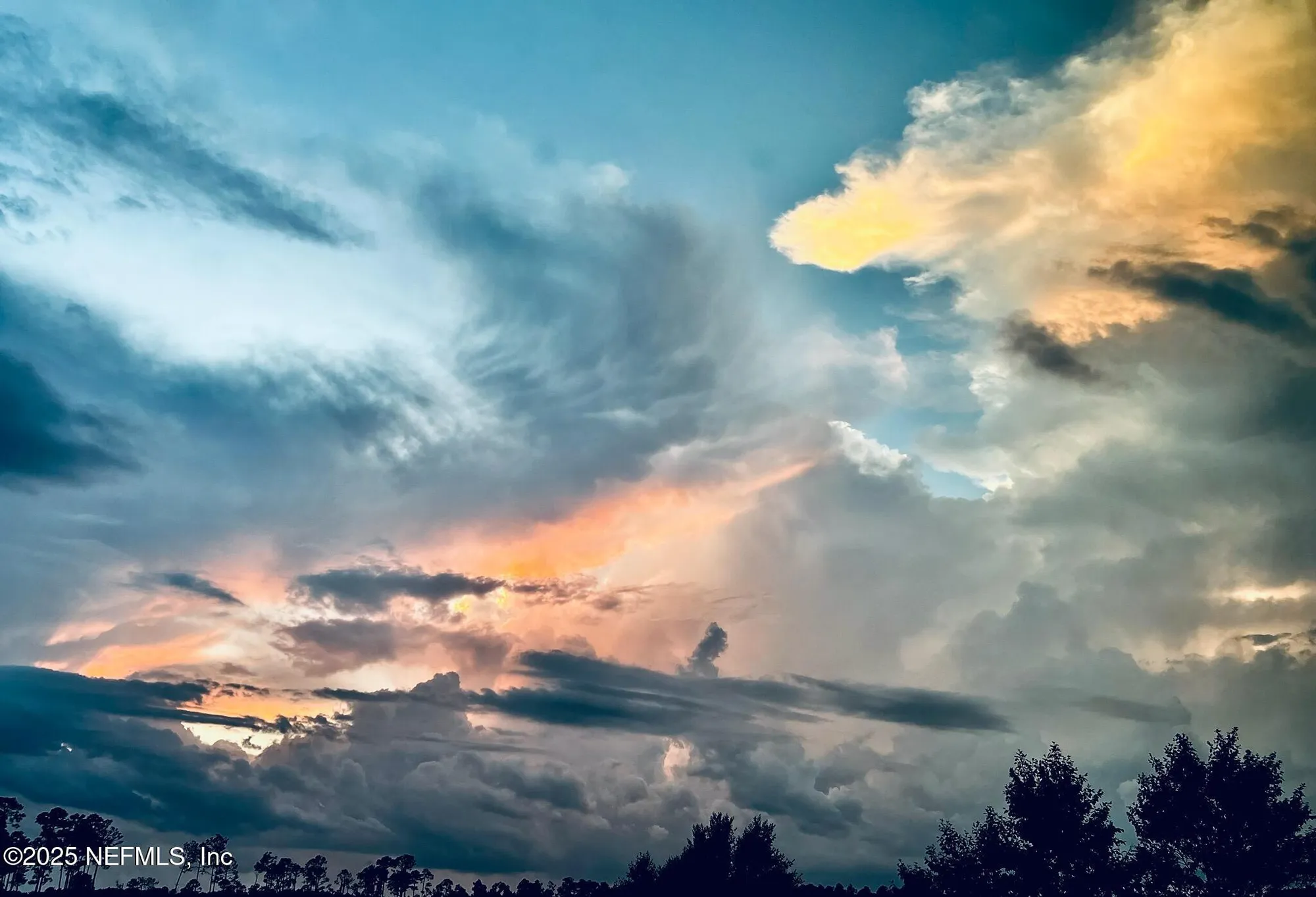 Property Slideshow image 74 of 75 | 263 forest spring dr, Ponte Vedra, FL, 32081