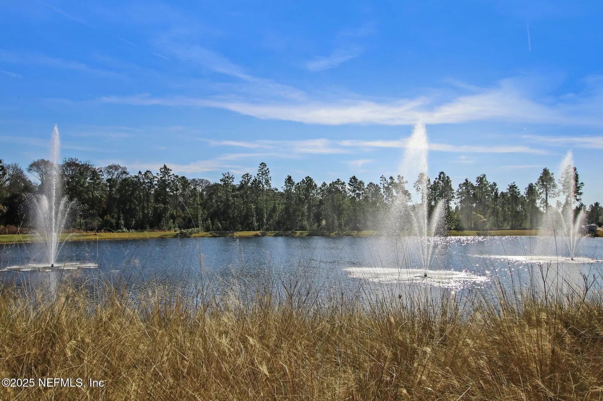 Property Slideshow image 67 of 108 | 195 sand harbor dr, Ponte Vedra, FL, 32081