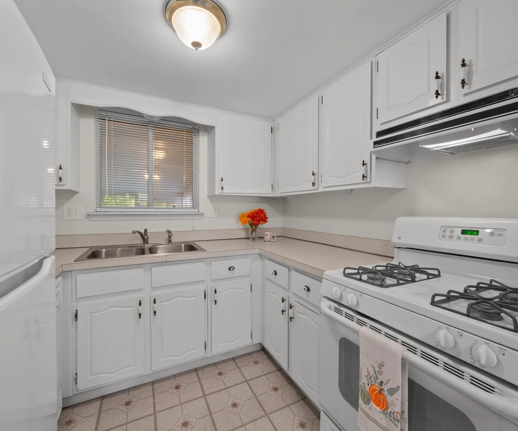 Property Slideshow image 7 of 32 | 61119 heritage blvd # 3, South Lyon, MI, 48178