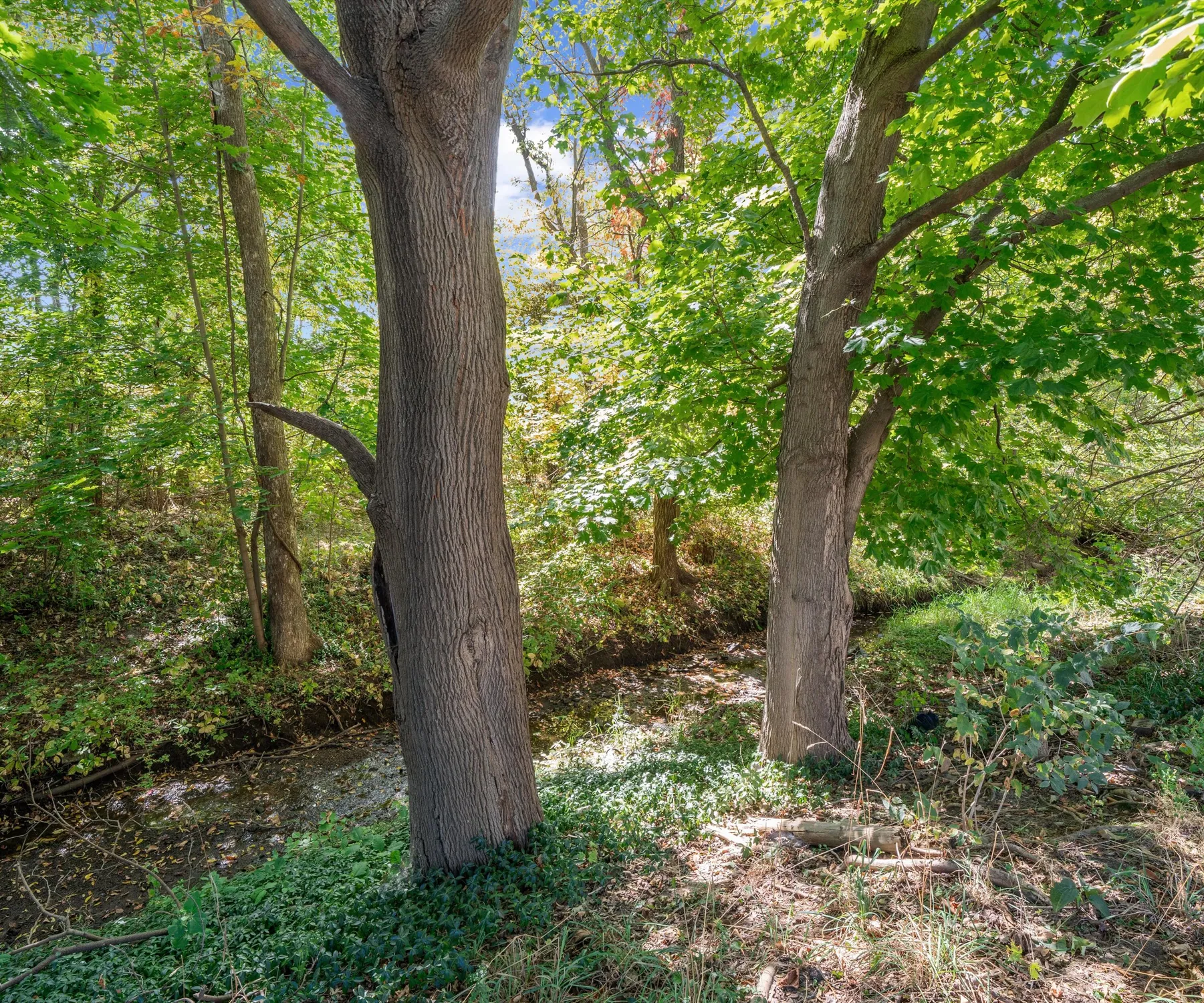 Property Slideshow image 16 of 32 | 61119 heritage blvd # 3, South Lyon, MI, 48178