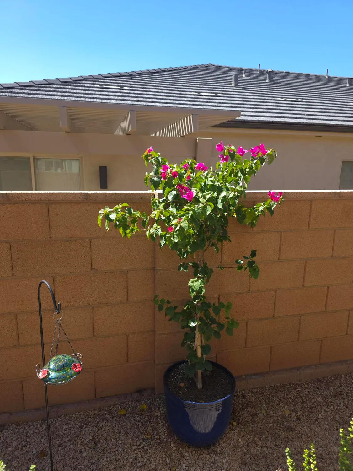 Property Slideshow image 44 of 47 | 4616 s wallace cir, St George, UT, 84790