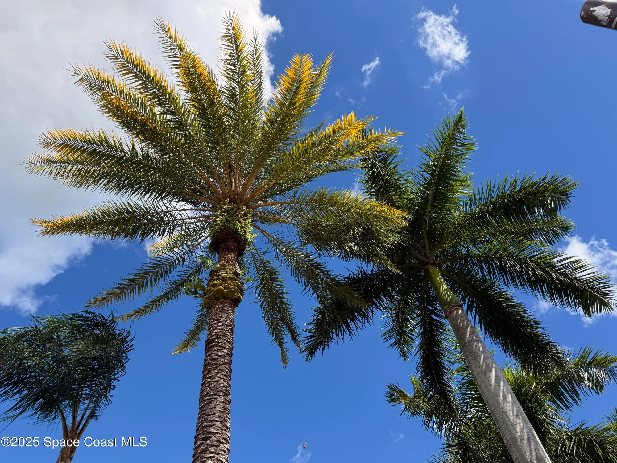 Property Slideshow image 28 of 29 | 633 nw whitfield way, Port St Lucie, FL, 34986