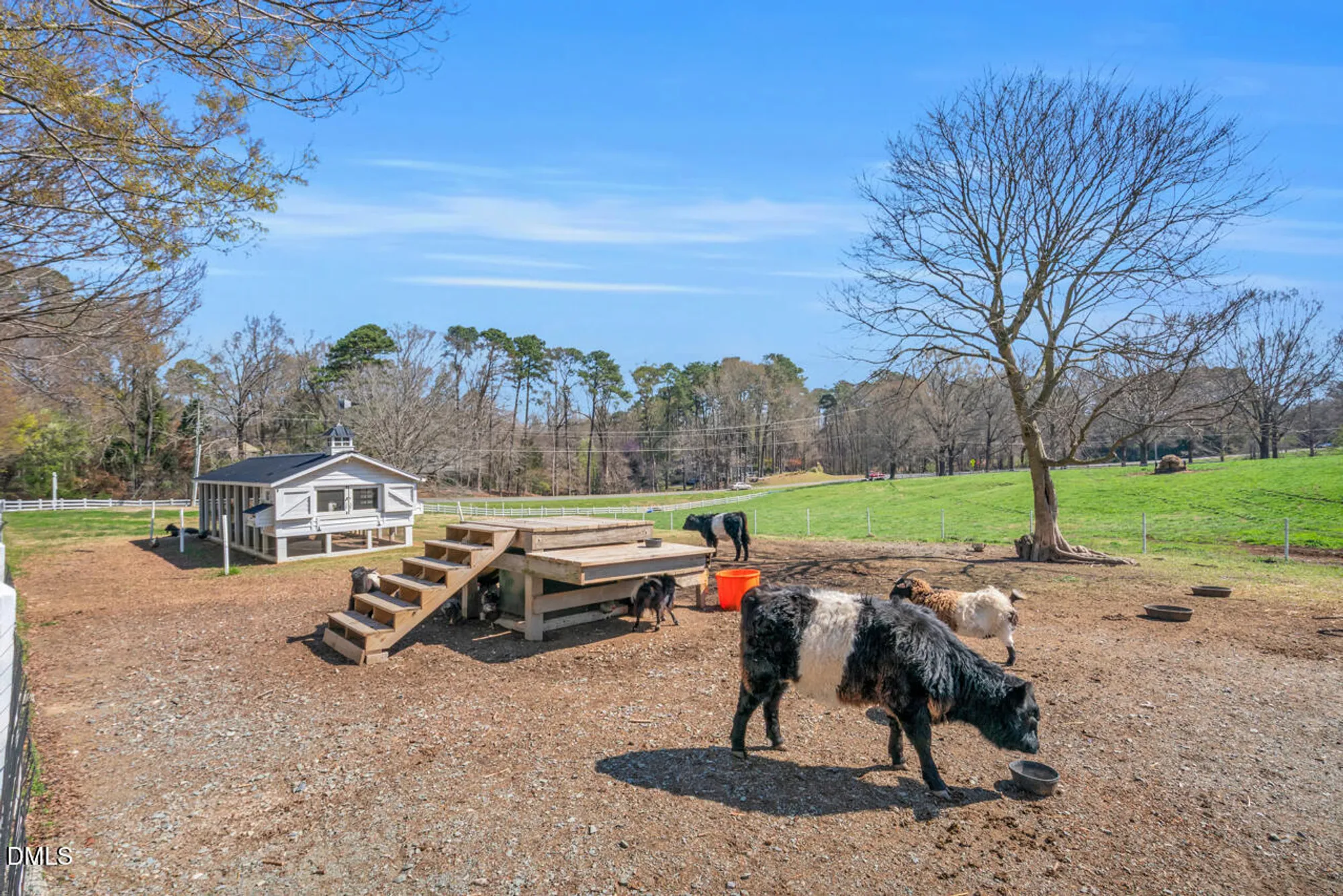 Property Slideshow image 49 of 52 | 19 caldwell, Pittsboro, NC, 27312