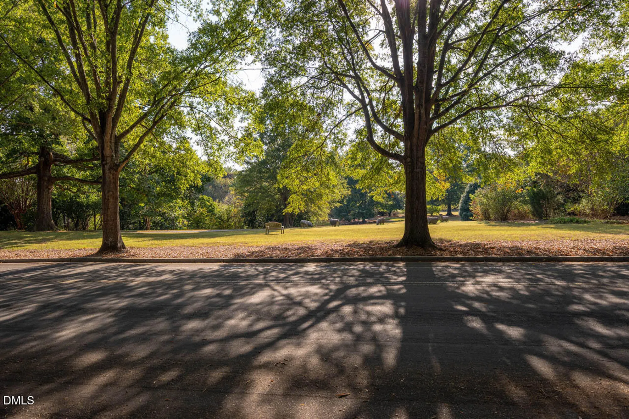Property Slideshow image 42 of 43 | 7 e camden, Pittsboro, NC, 27312