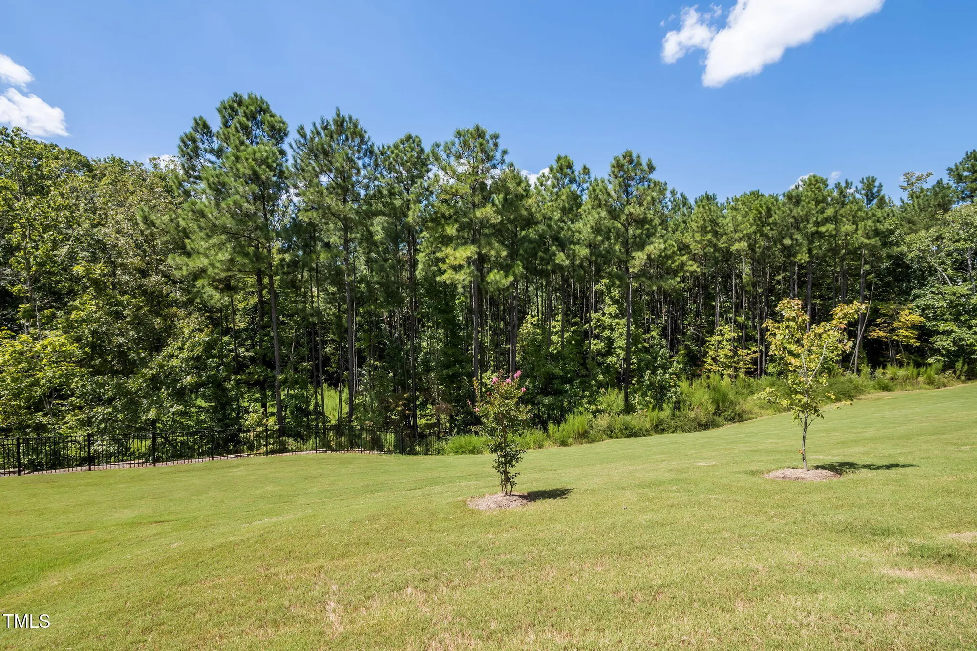 Property Slideshow image 36 of 55 | 1241 white flint cir, Durham, NC, 27703