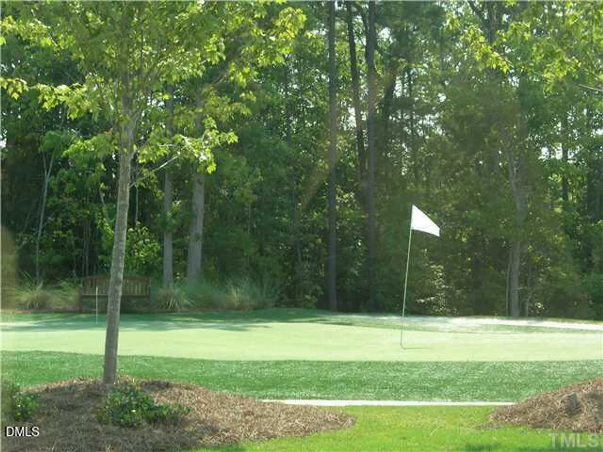 Property Slideshow image 61 of 65 | 823 blackfriars loop, Cary, NC, 27519