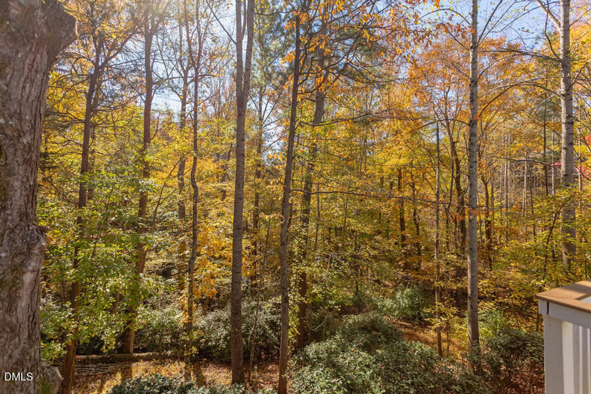 Property Slideshow image 21 of 29 | 594 a woodbury, Pittsboro, NC, 27312