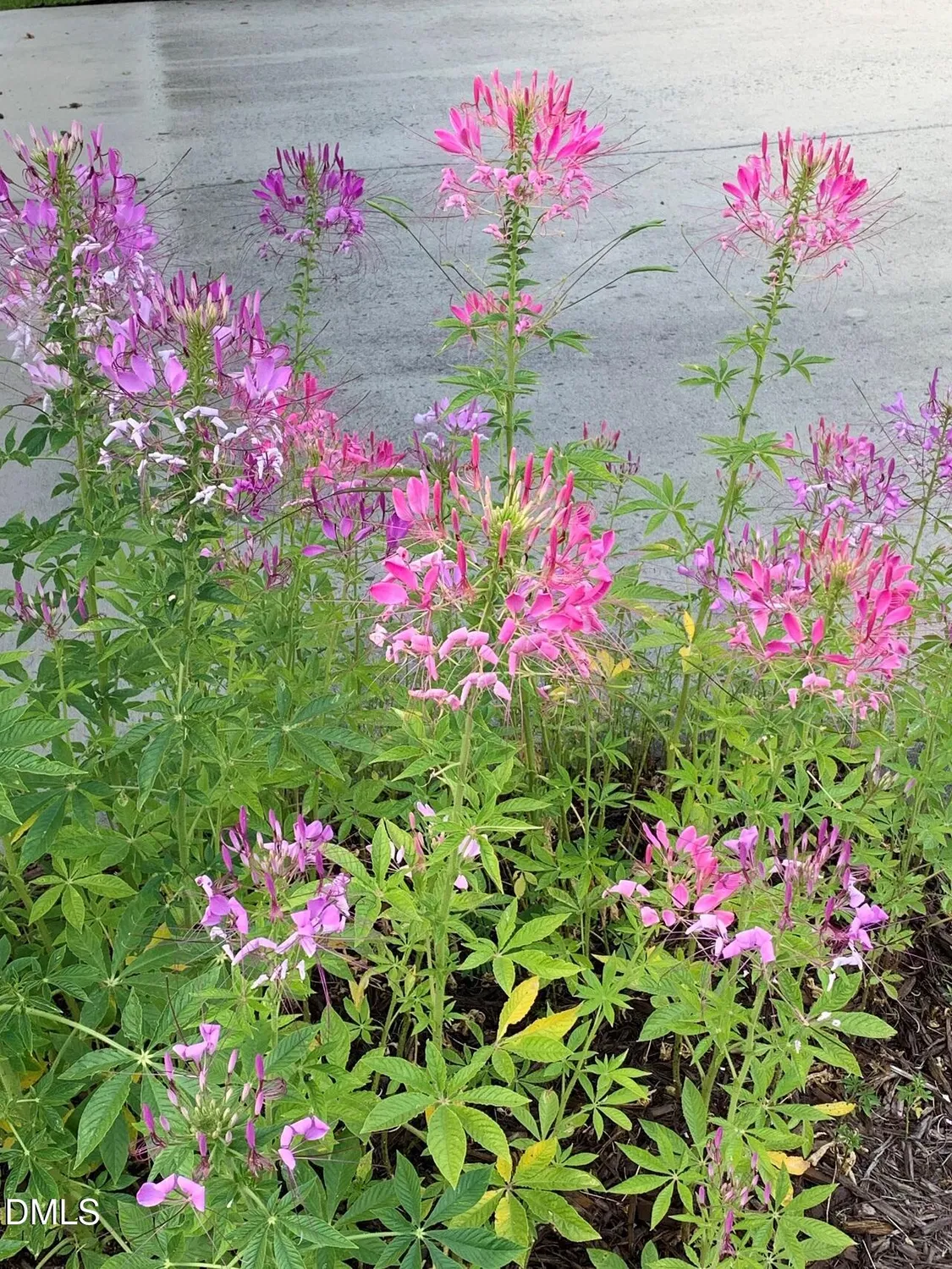 Property Slideshow image 38 of 43 | 4064 harnett, Pittsboro, NC, 27312