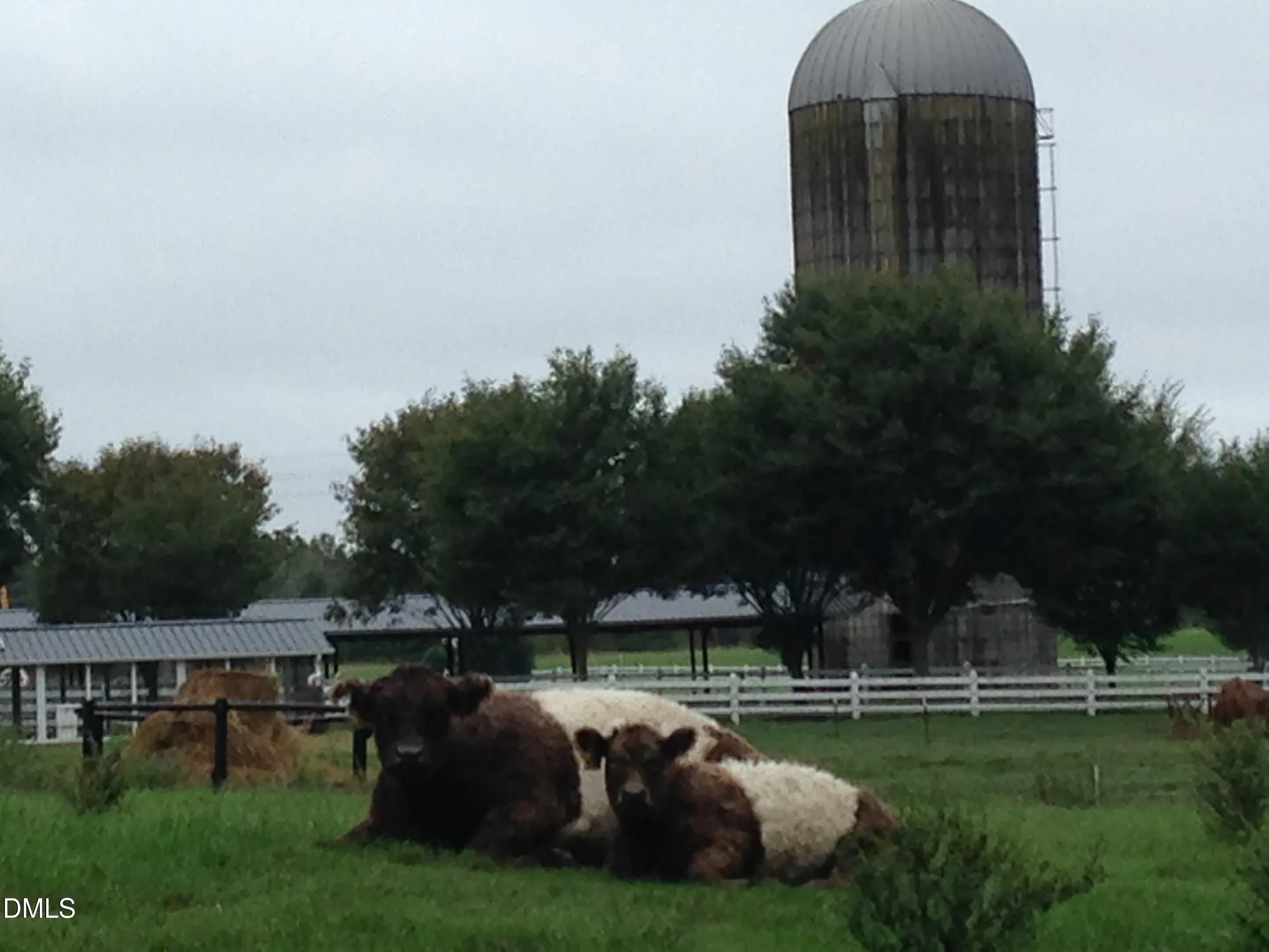Property Slideshow image 23 of 24 | 520 swim and croquet, Pittsboro, NC, 27312