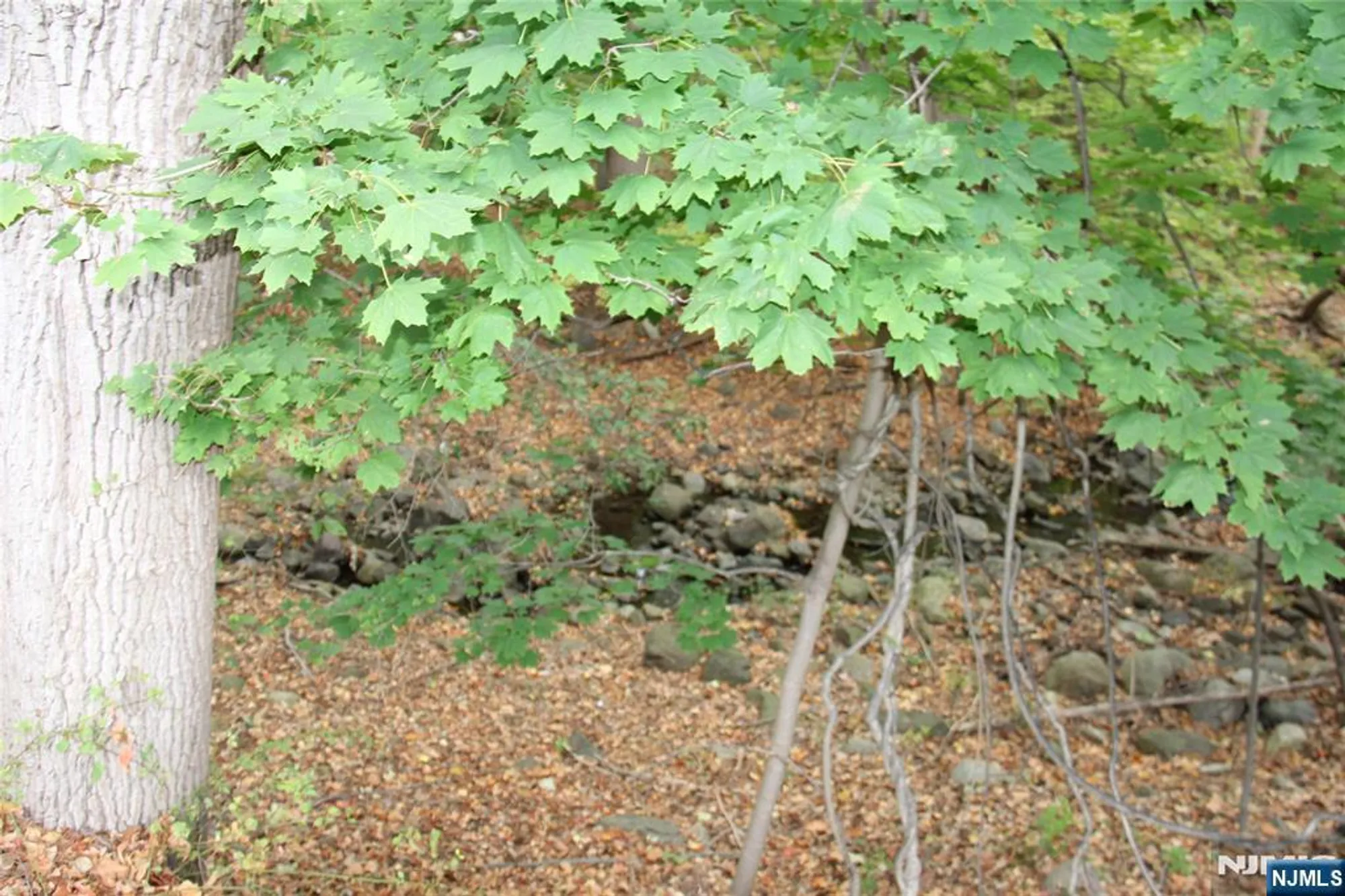 Property Slideshow image 38 of 40 | 705 four seasons dr, Wayne, NJ, 07470